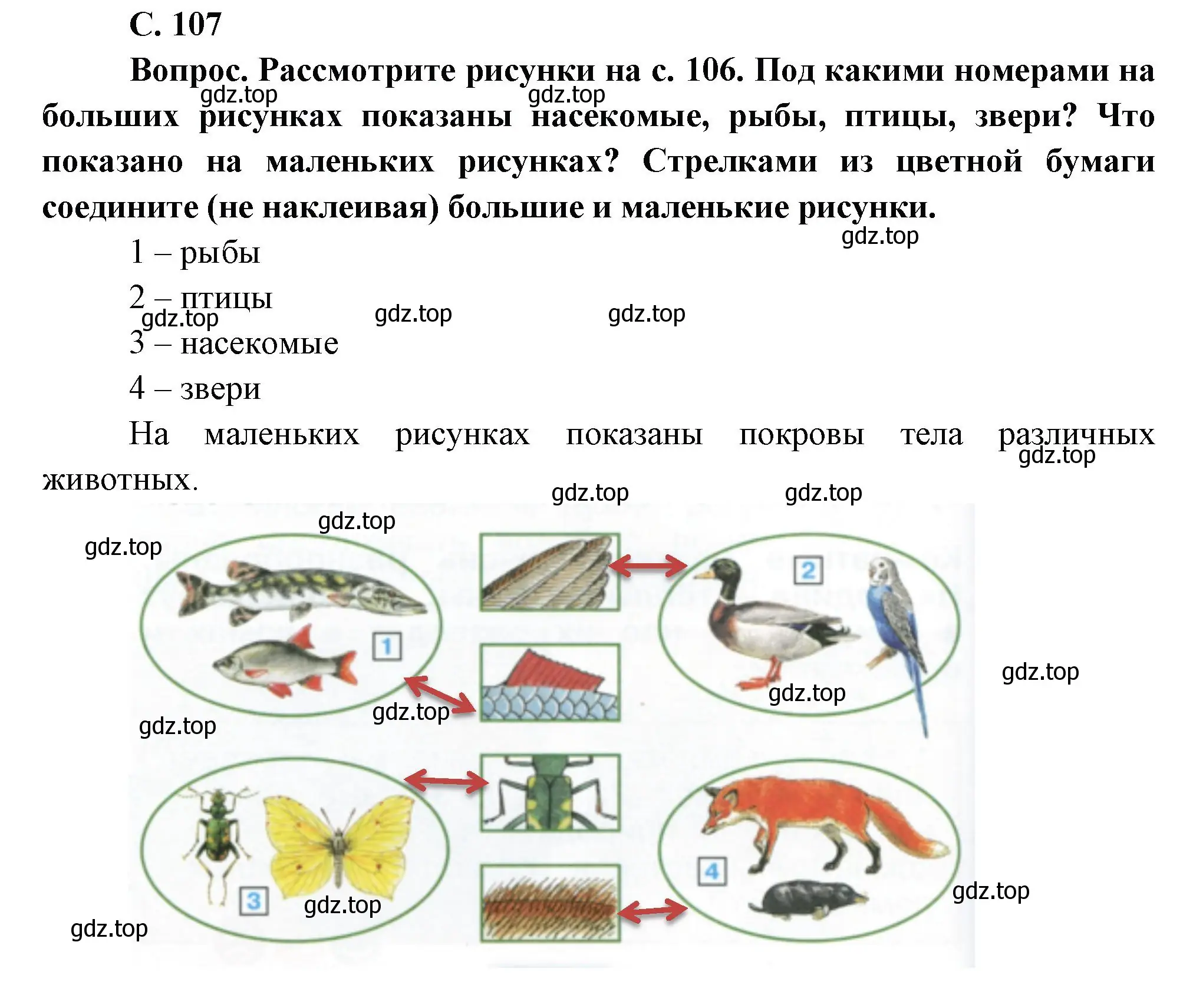 Решение номер 107 (страница 107) гдз по окружающему миру 1 класс Плешаков, учебник 1 часть