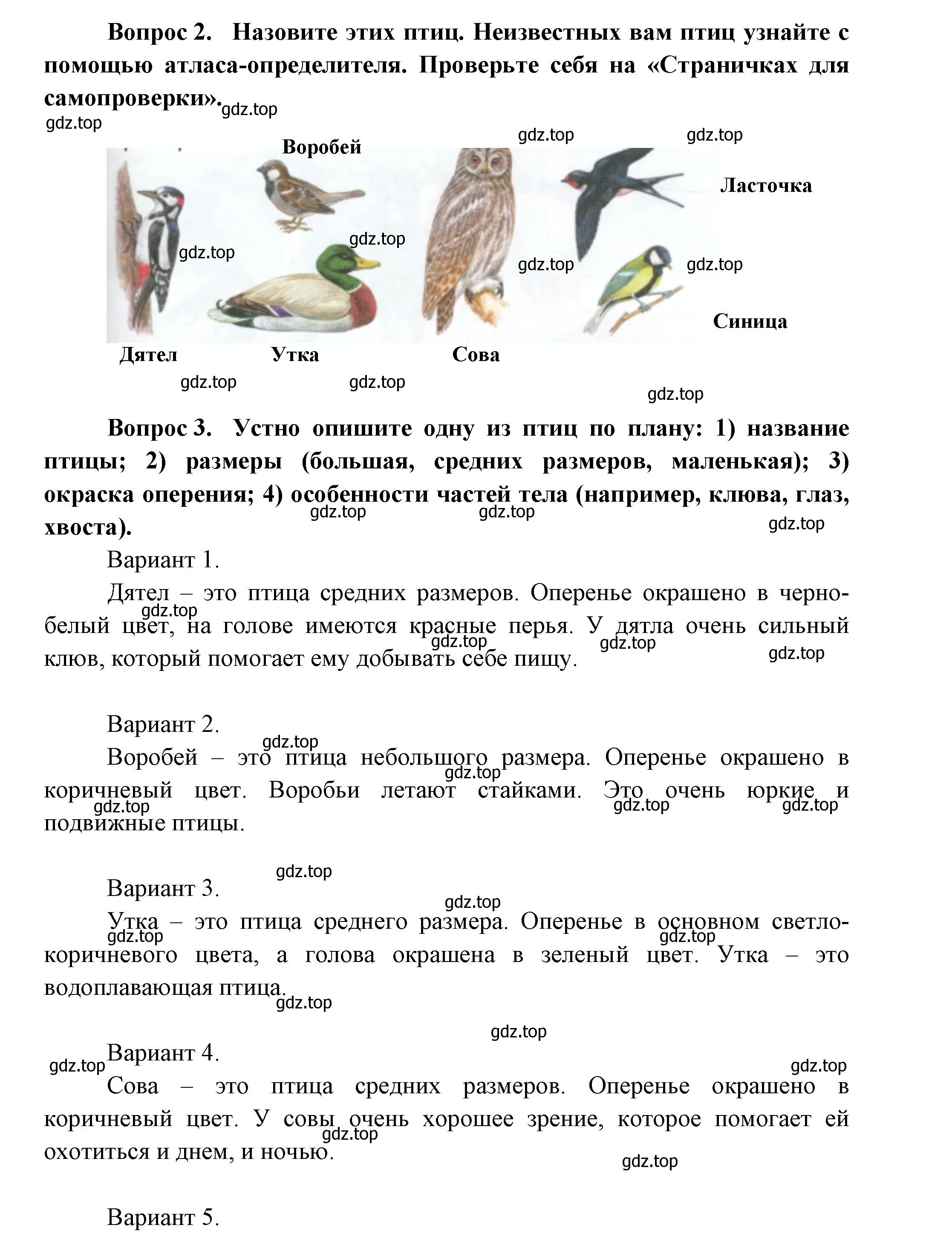 Решение номер 111 (страница 111) гдз по окружающему миру 1 класс Плешаков, учебник 1 часть