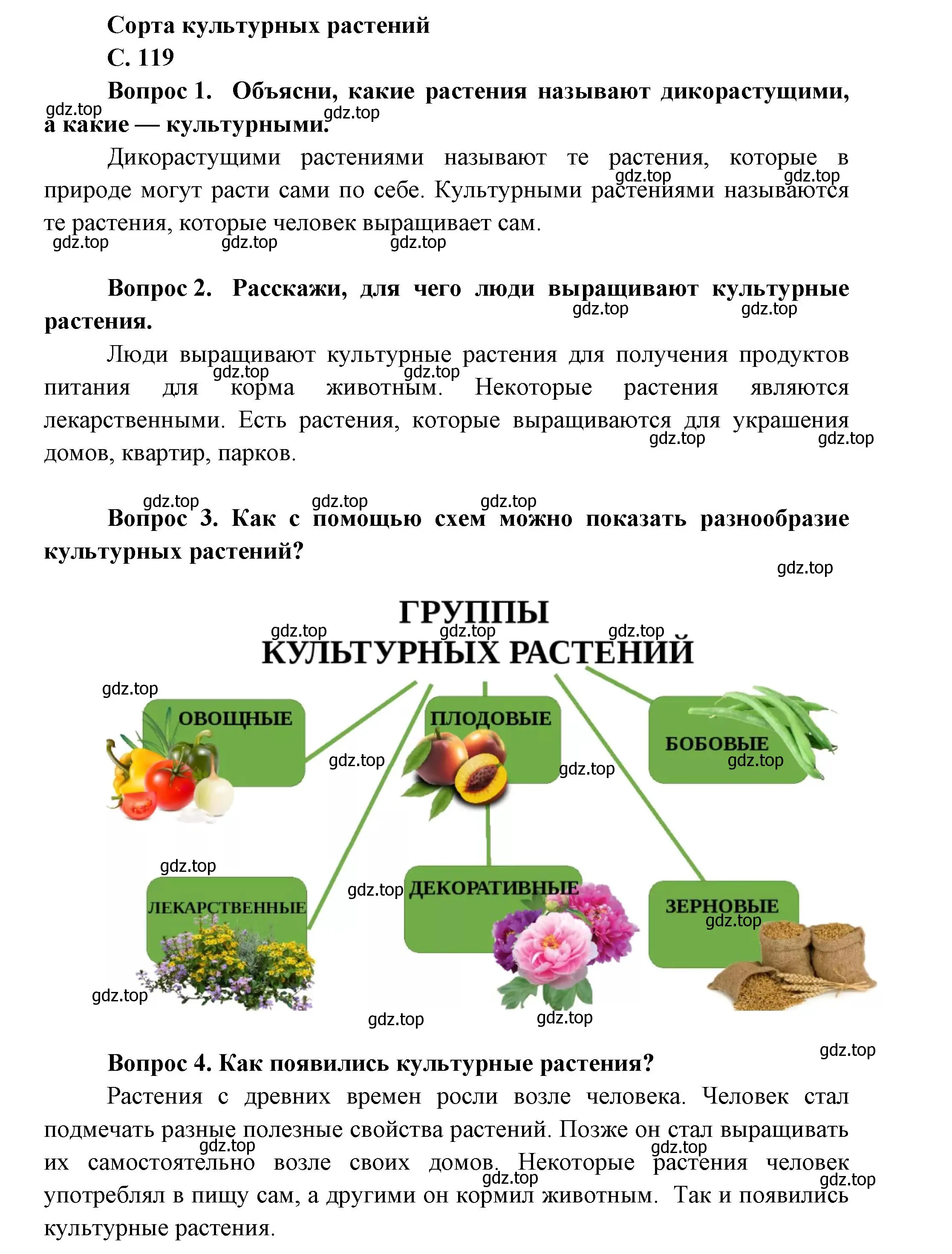 Решение номер 119 (страница 119) гдз по окружающему миру 1 класс Плешаков, учебник 1 часть