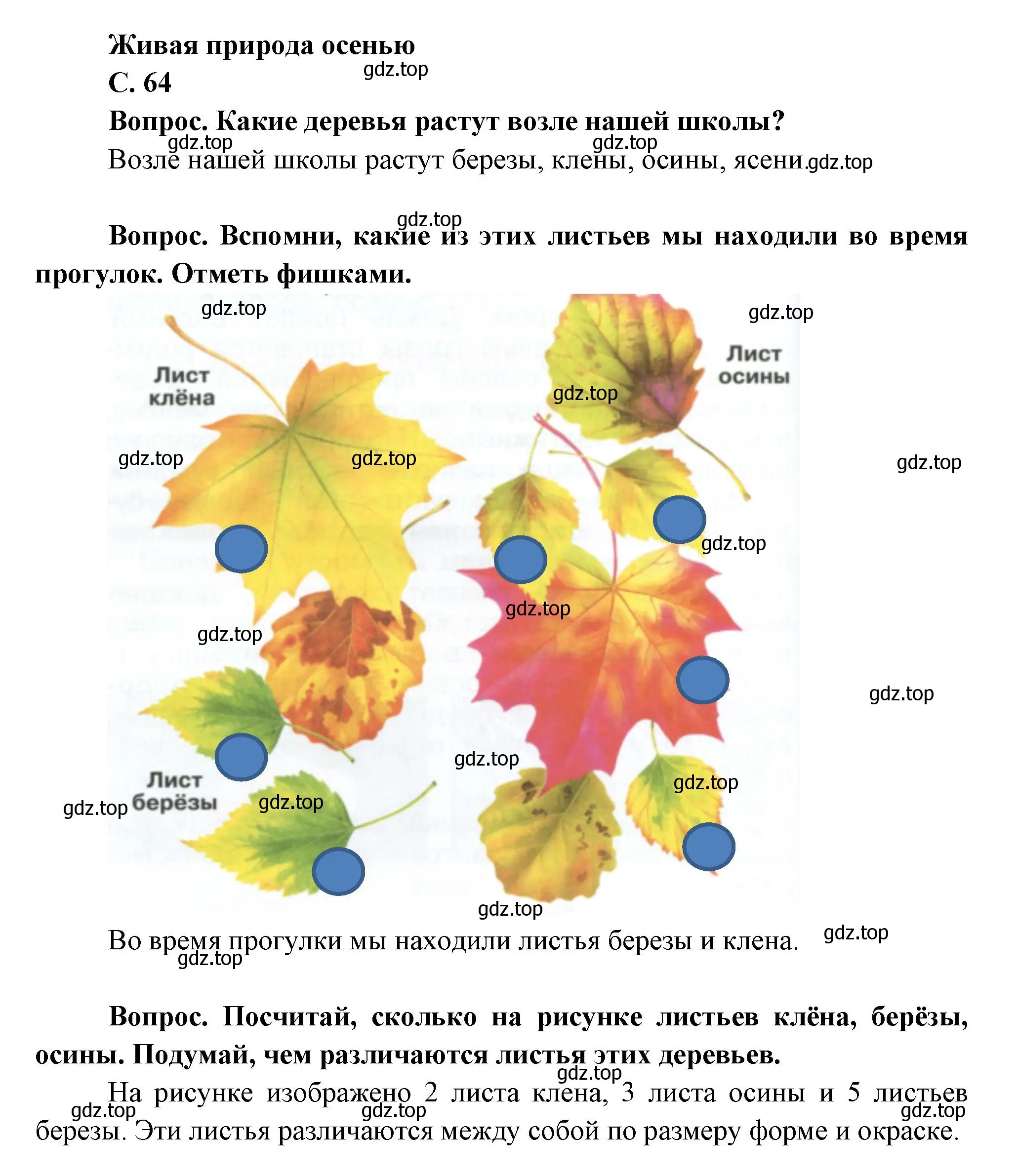 Решение номер 64 (страница 64) гдз по окружающему миру 1 класс Плешаков, учебник 1 часть