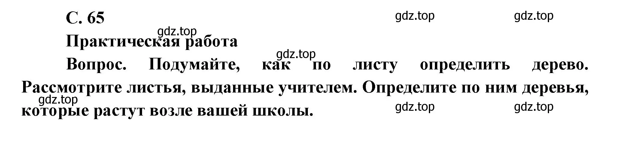 Решение номер 65 (страница 65) гдз по окружающему миру 1 класс Плешаков, учебник 1 часть