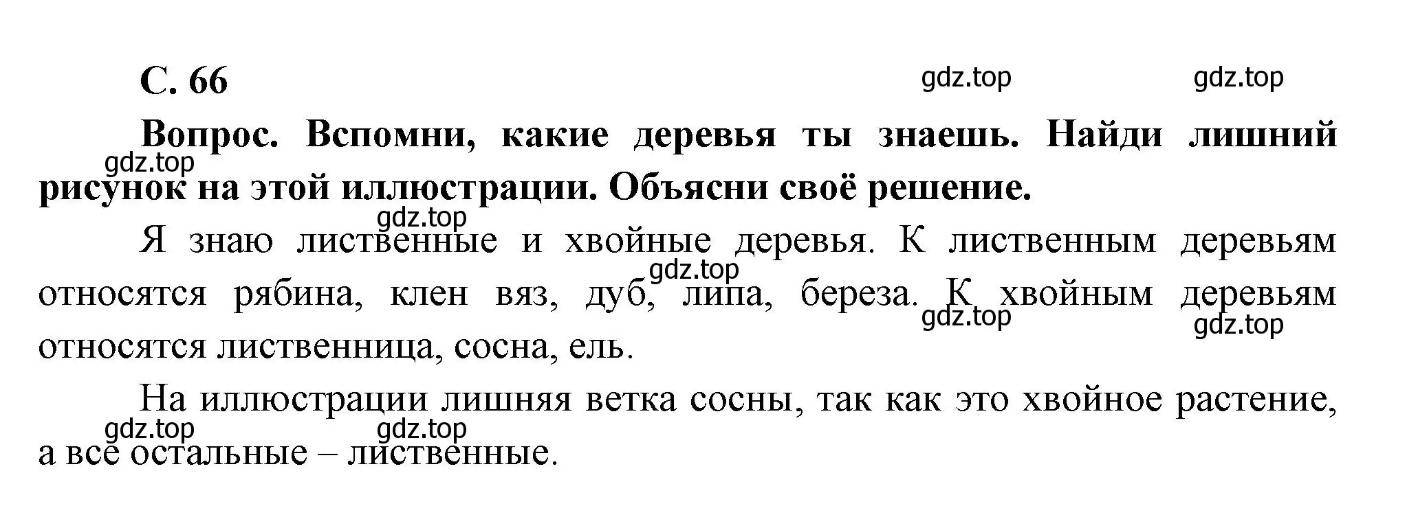 Решение номер 66 (страница 66) гдз по окружающему миру 1 класс Плешаков, учебник 1 часть