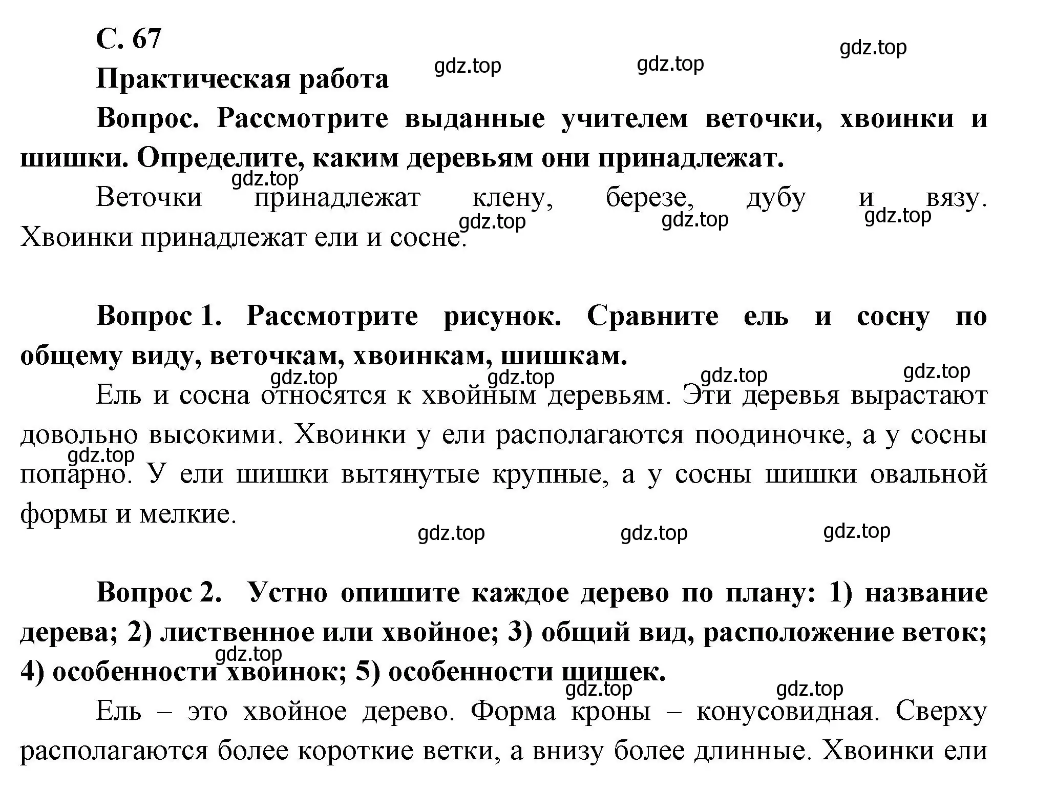 Решение номер 67 (страница 67) гдз по окружающему миру 1 класс Плешаков, учебник 1 часть