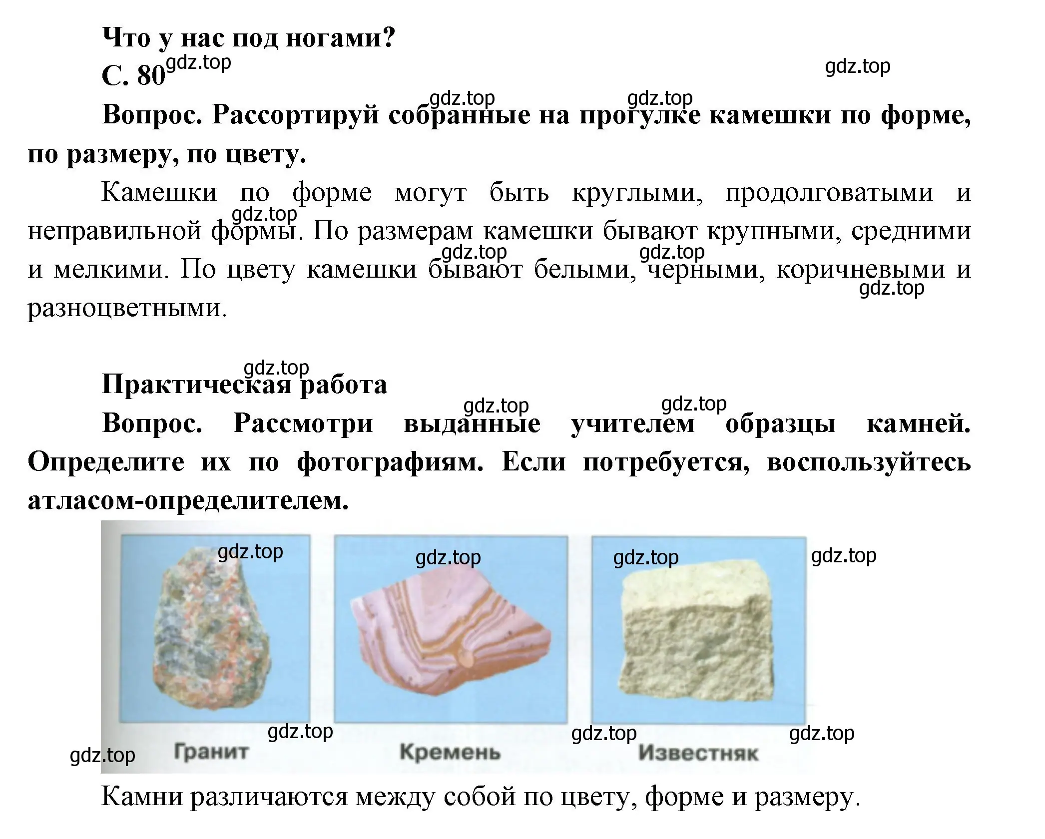 Решение номер 80 (страница 80) гдз по окружающему миру 1 класс Плешаков, учебник 1 часть