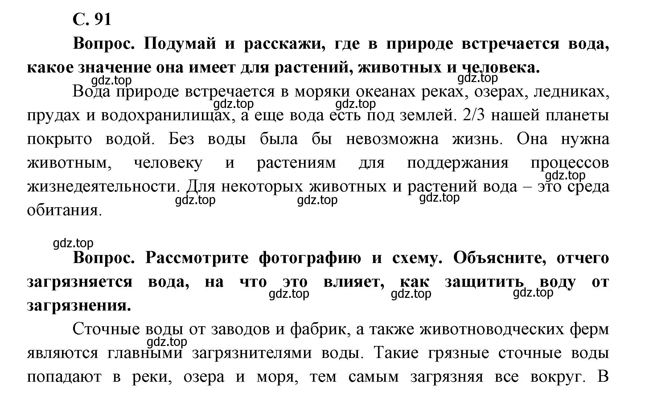 Решение номер 91 (страница 91) гдз по окружающему миру 1 класс Плешаков, учебник 1 часть