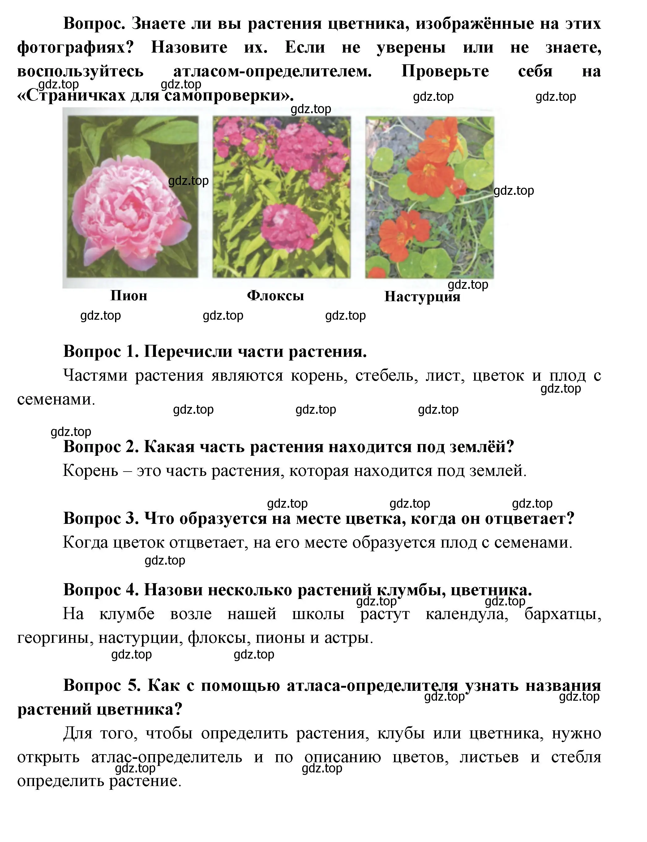 Решение номер 97 (страница 97) гдз по окружающему миру 1 класс Плешаков, учебник 1 часть