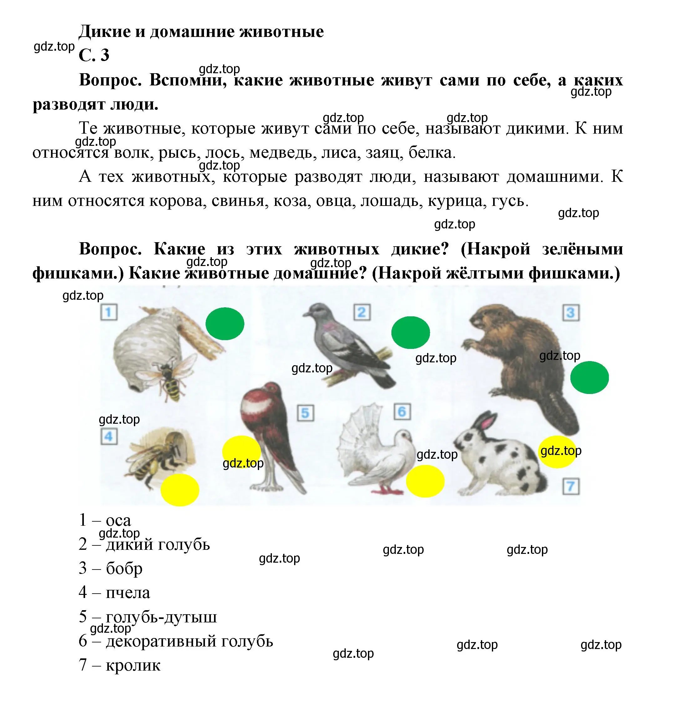 Решение номер 3 (страница 3) гдз по окружающему миру 1 класс Плешаков, учебник 2 часть