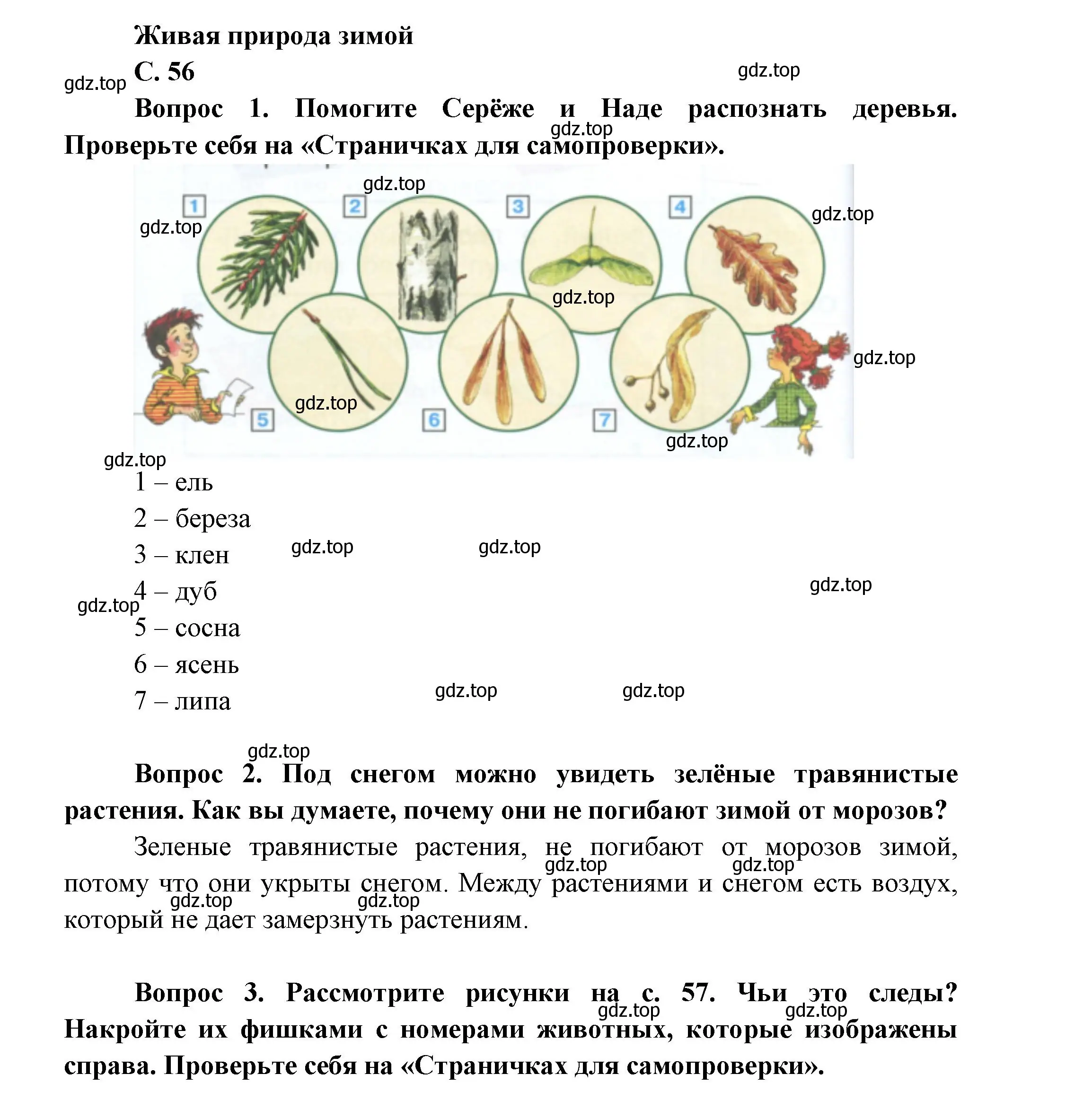 Решение номер 56 (страница 56) гдз по окружающему миру 1 класс Плешаков, учебник 2 часть