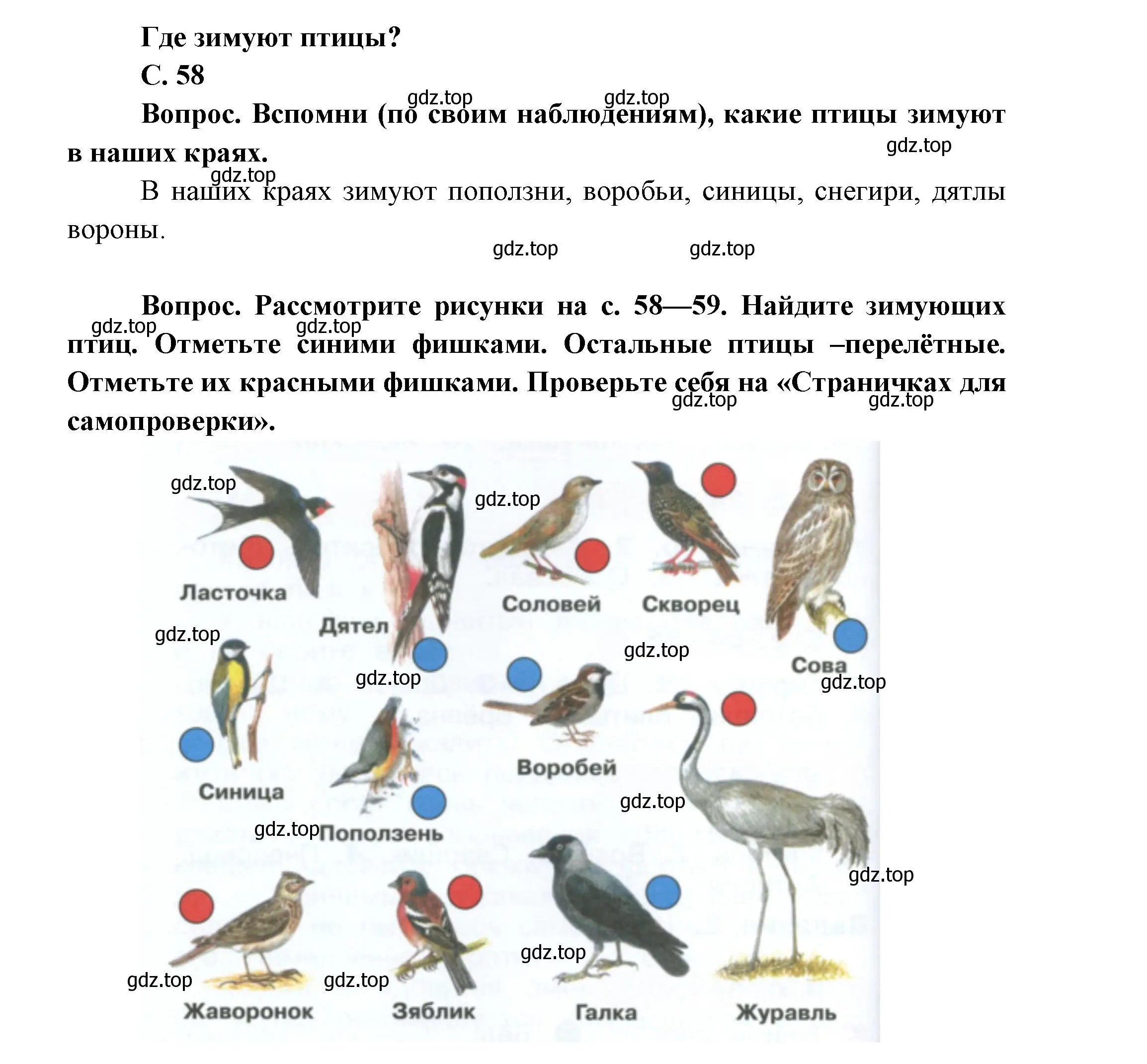 Решение номер 58 (страница 58) гдз по окружающему миру 1 класс Плешаков, учебник 2 часть