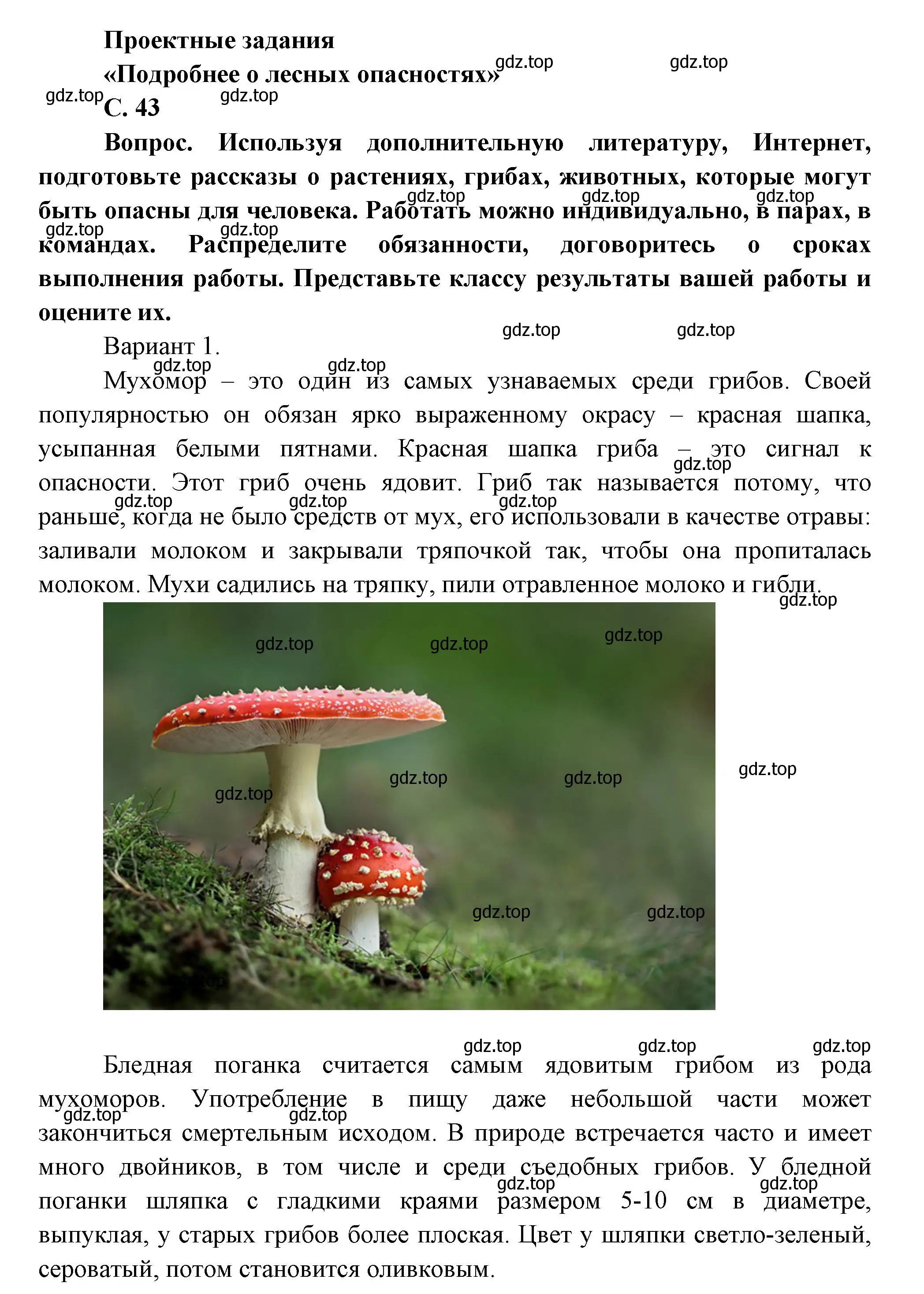 Решение номер 43 (страница 43) гдз по окружающему миру 1 класс Плешаков, учебник 3 часть