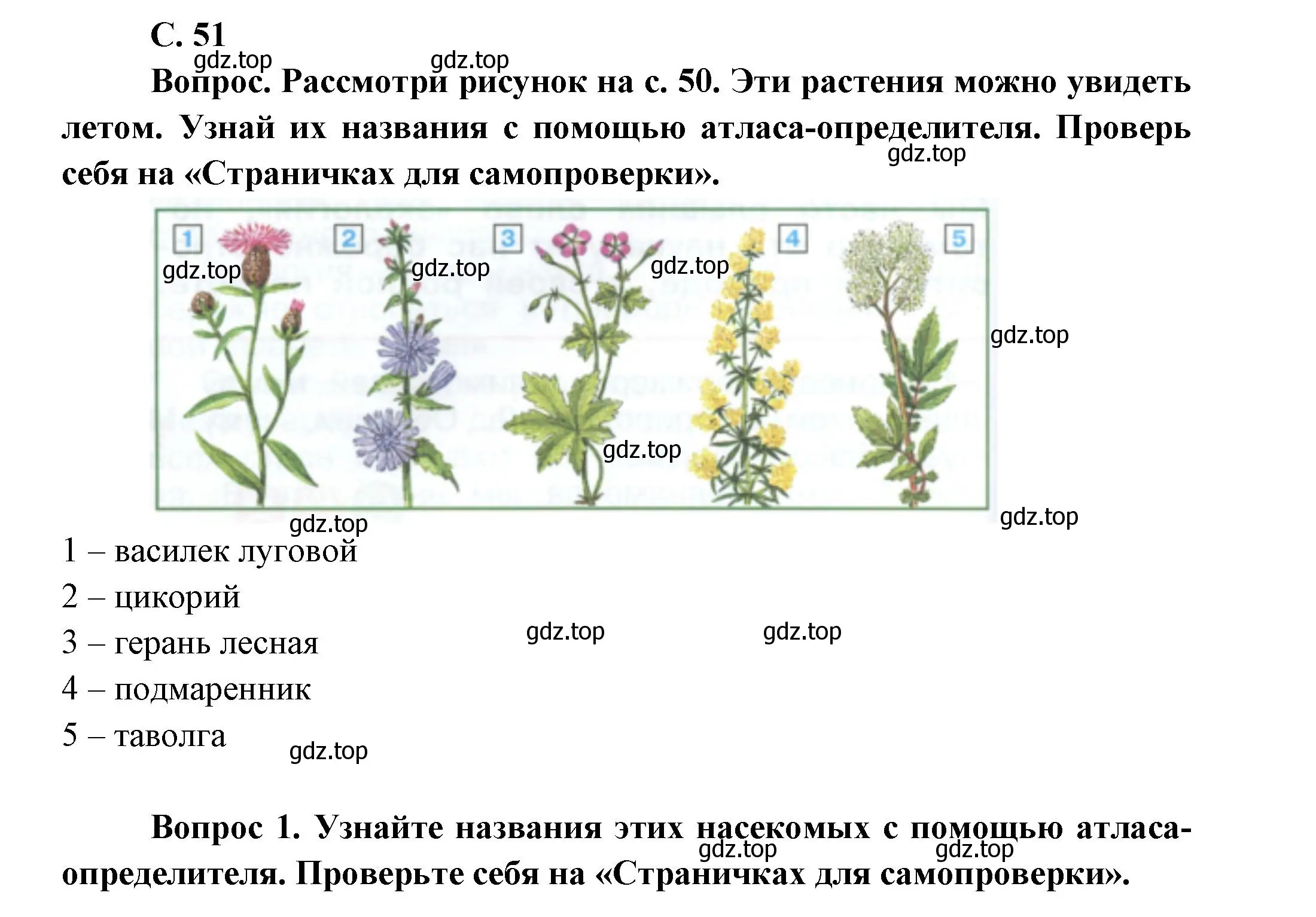 Решение номер 51 (страница 51) гдз по окружающему миру 1 класс Плешаков, учебник 3 часть