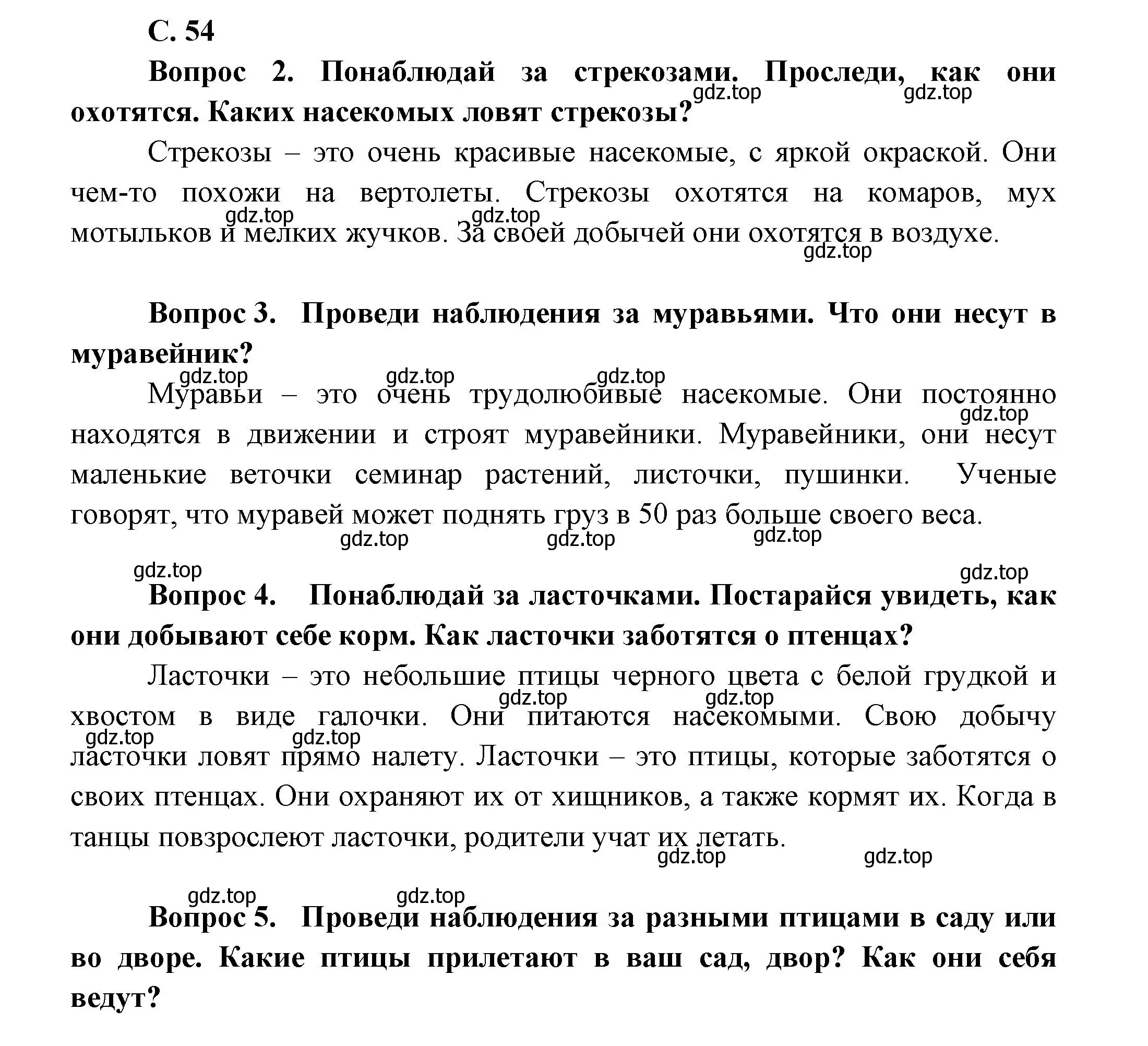 Решение номер 54 (страница 54) гдз по окружающему миру 1 класс Плешаков, учебник 3 часть