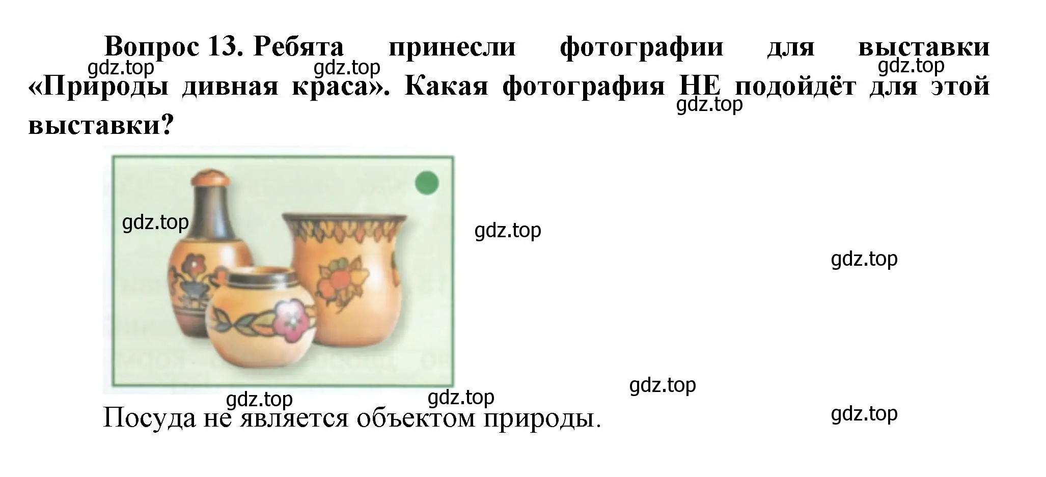 Решение номер 13 (страница 91) гдз по окружающему миру 1 класс Плешаков, учебник 3 часть