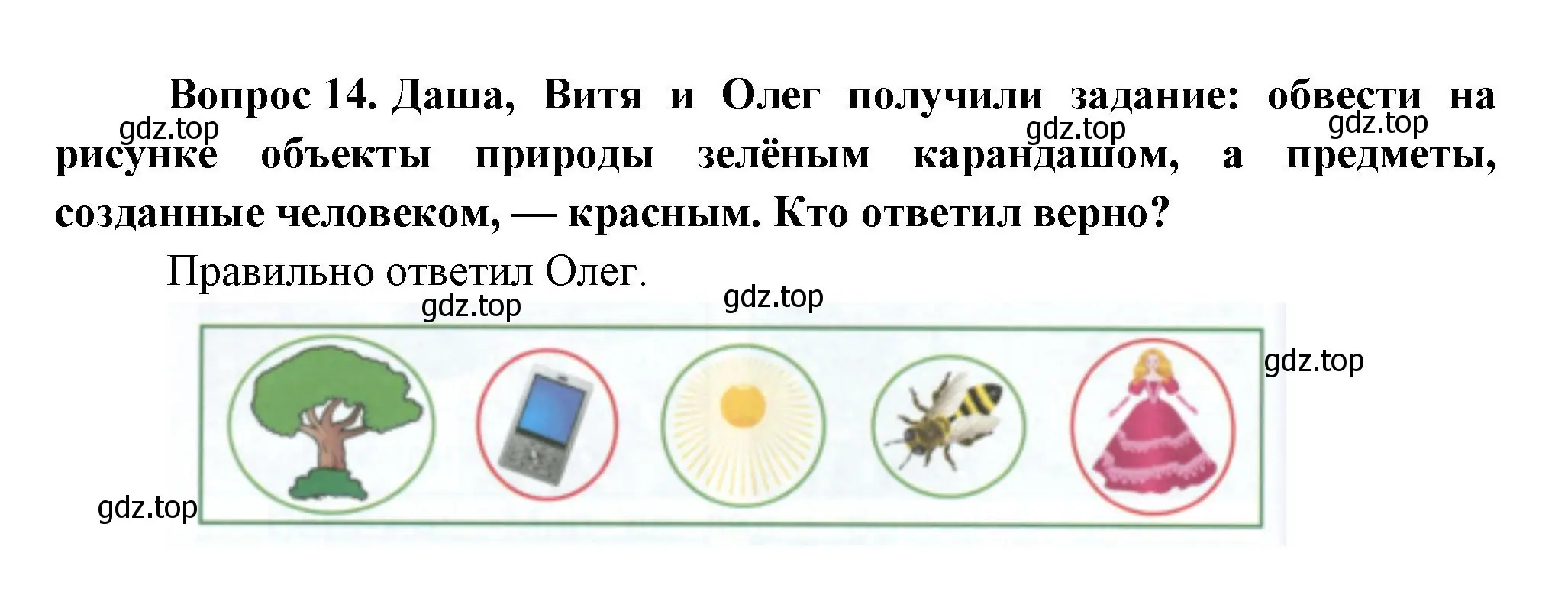 Решение номер 14 (страница 91) гдз по окружающему миру 1 класс Плешаков, учебник 3 часть