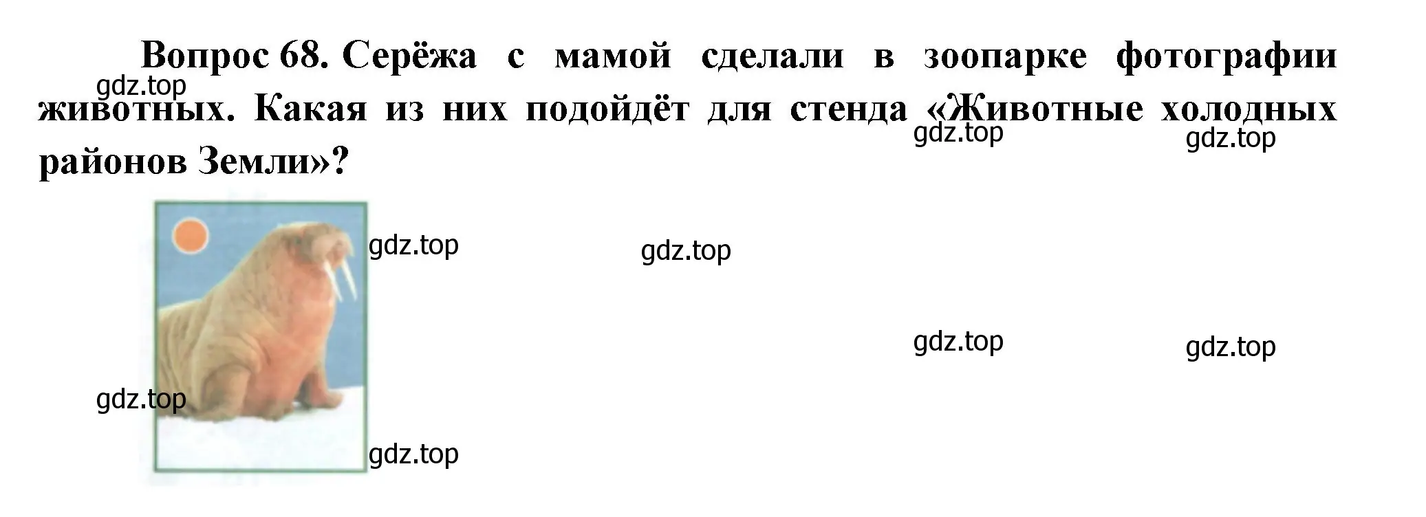 Решение номер 68 (страница 121) гдз по окружающему миру 1 класс Плешаков, учебник 3 часть