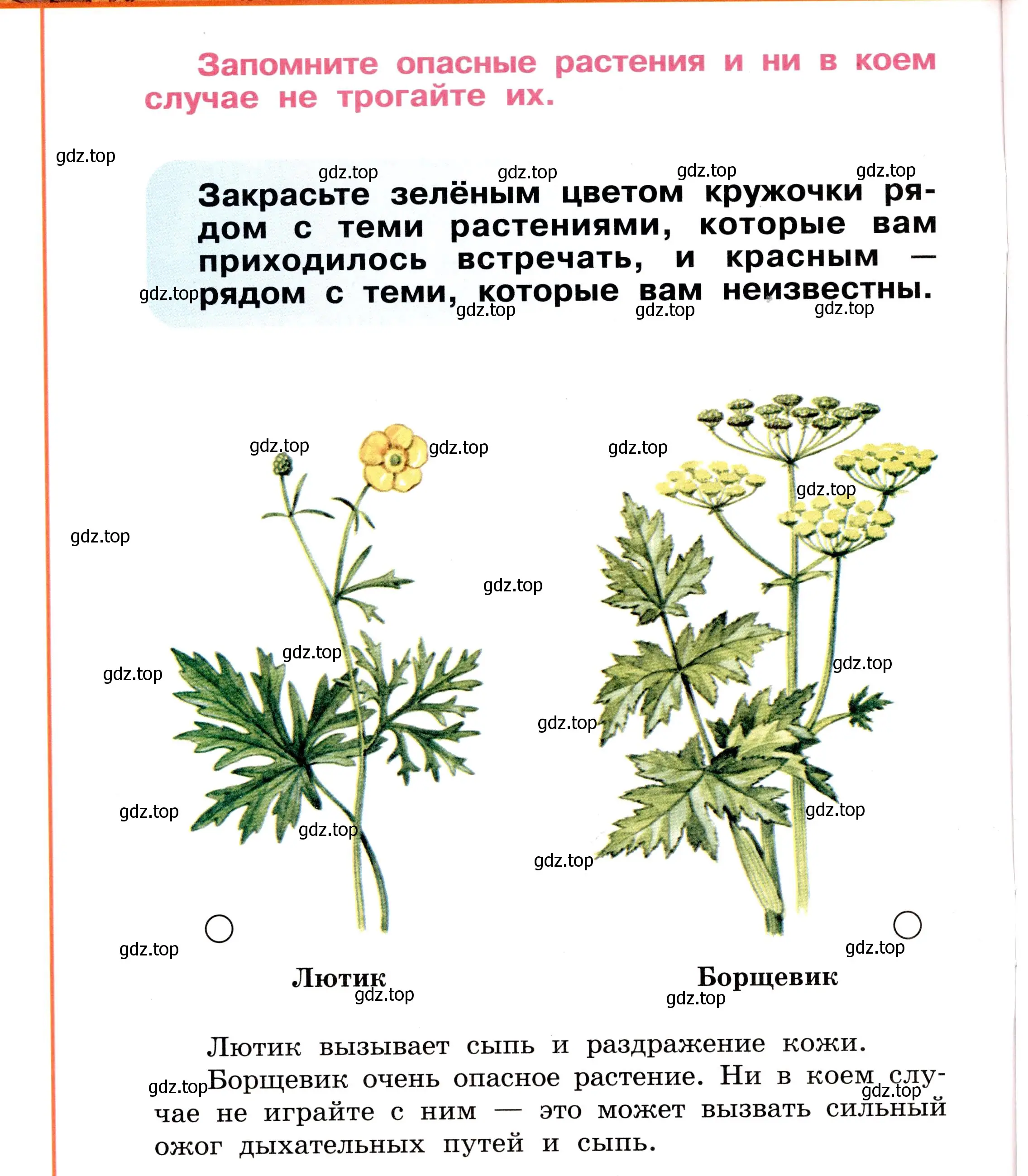 Условие номер 10 (страница 10) гдз по окружающему миру 2 класс Анастасова, Ижевский, рабочая тетрадь