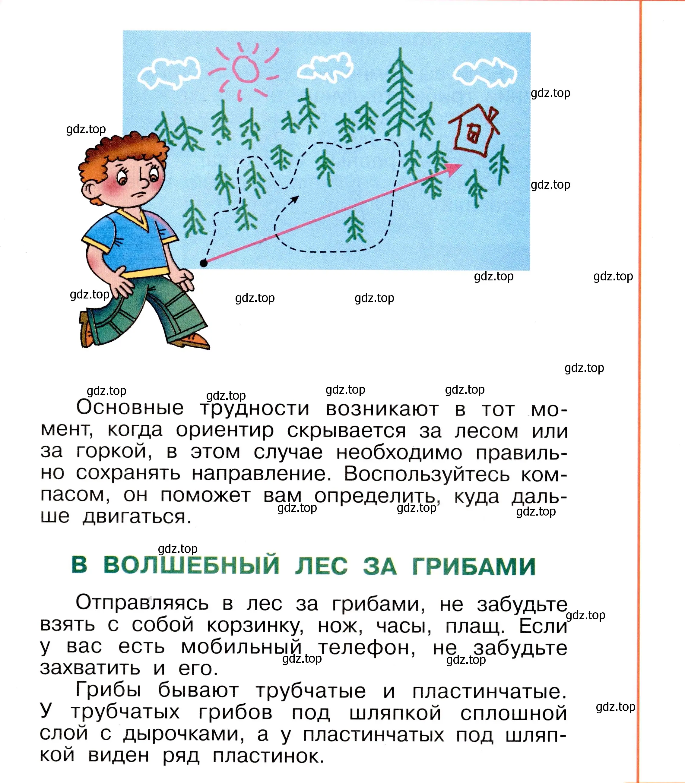 Условие номер 15 (страница 15) гдз по окружающему миру 2 класс Анастасова, Ижевский, рабочая тетрадь