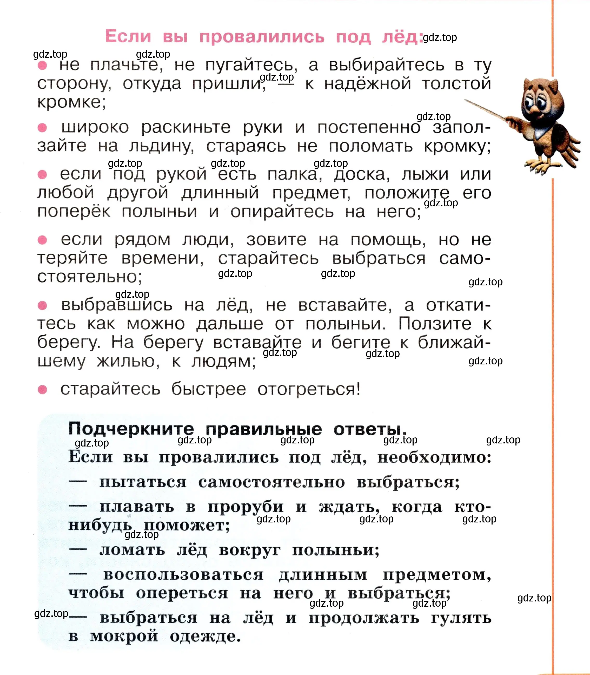 Условие номер 23 (страница 23) гдз по окружающему миру 2 класс Анастасова, Ижевский, рабочая тетрадь