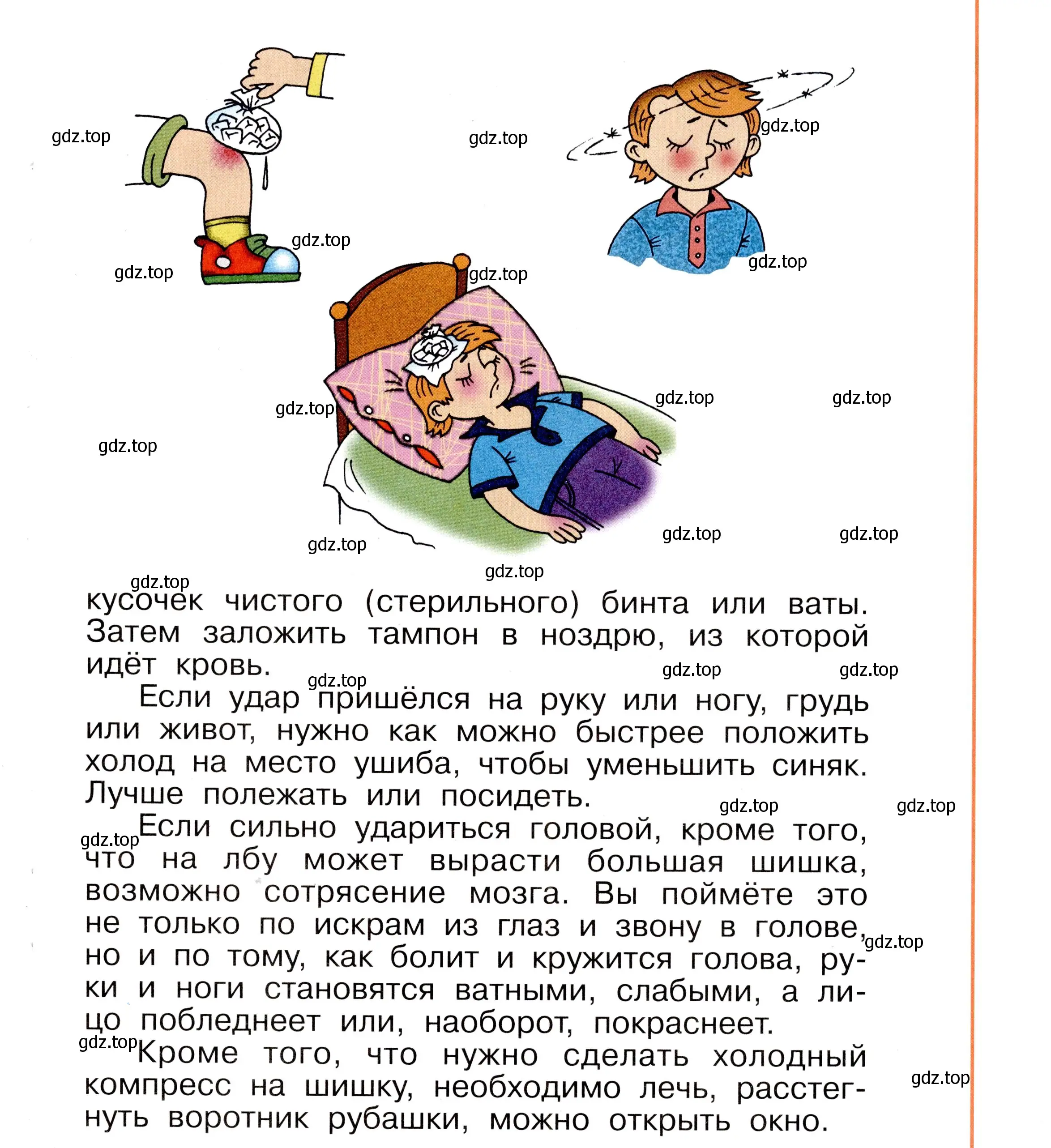 Условие номер 27 (страница 27) гдз по окружающему миру 2 класс Анастасова, Ижевский, рабочая тетрадь