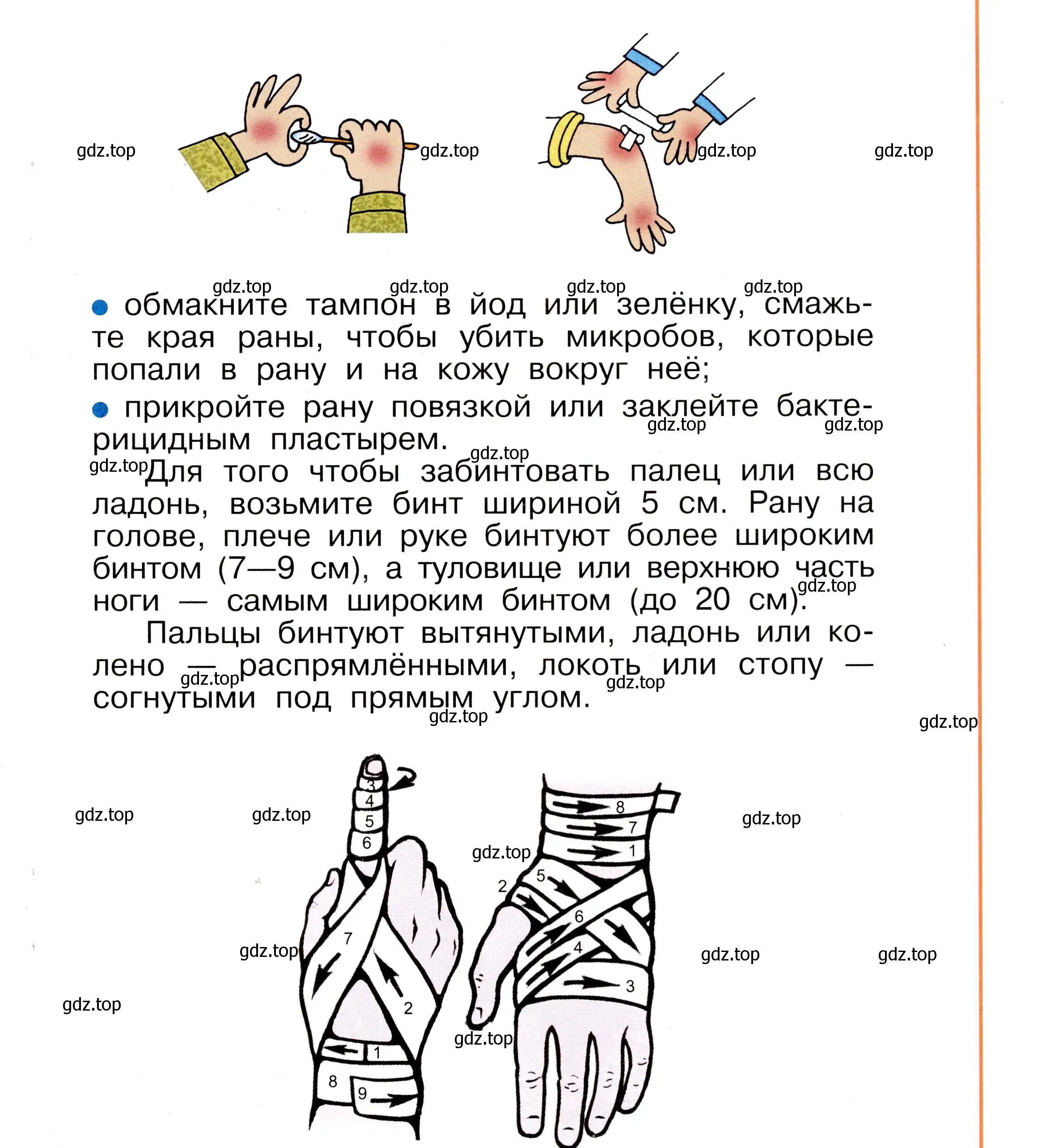 Условие номер 29 (страница 29) гдз по окружающему миру 2 класс Анастасова, Ижевский, рабочая тетрадь