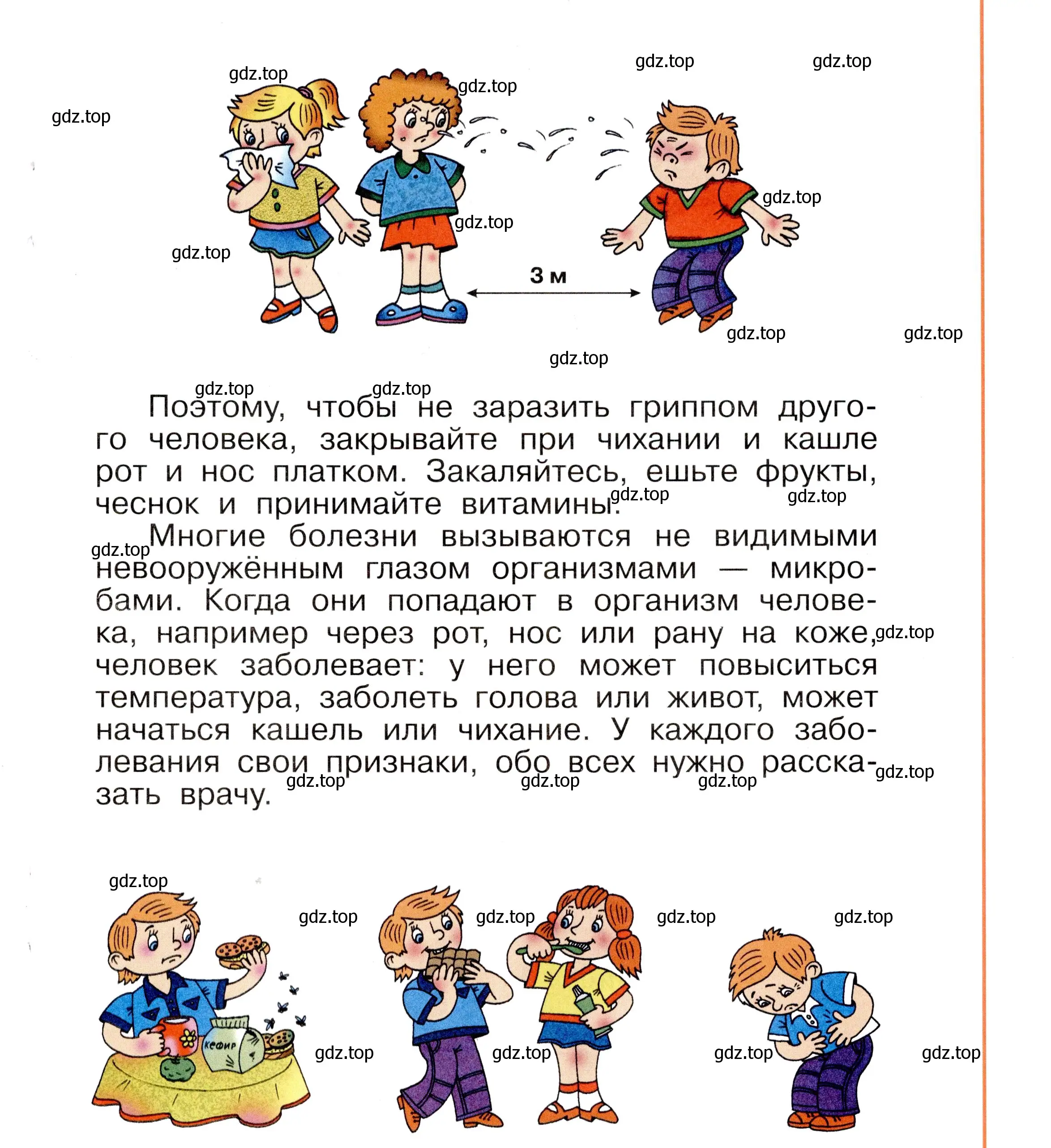 Условие номер 31 (страница 31) гдз по окружающему миру 2 класс Анастасова, Ижевский, рабочая тетрадь