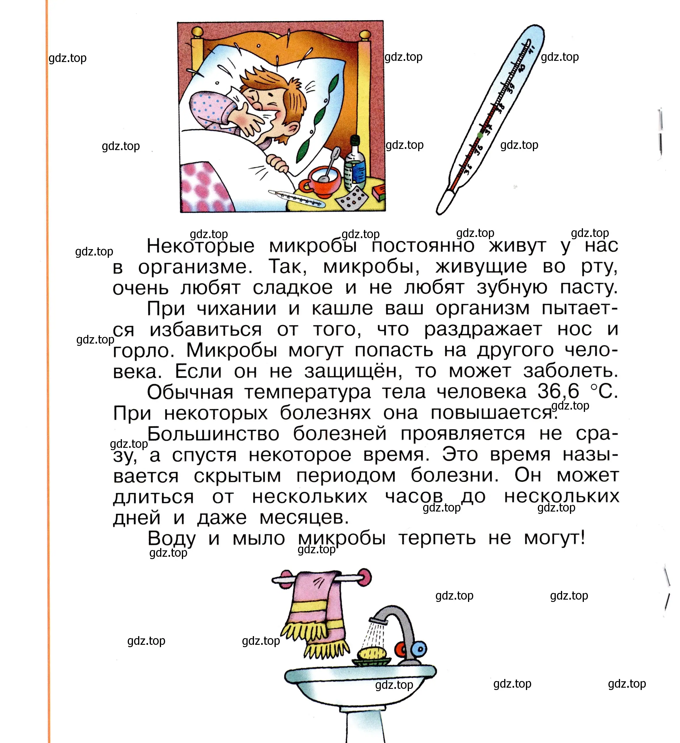 Условие номер 32 (страница 32) гдз по окружающему миру 2 класс Анастасова, Ижевский, рабочая тетрадь