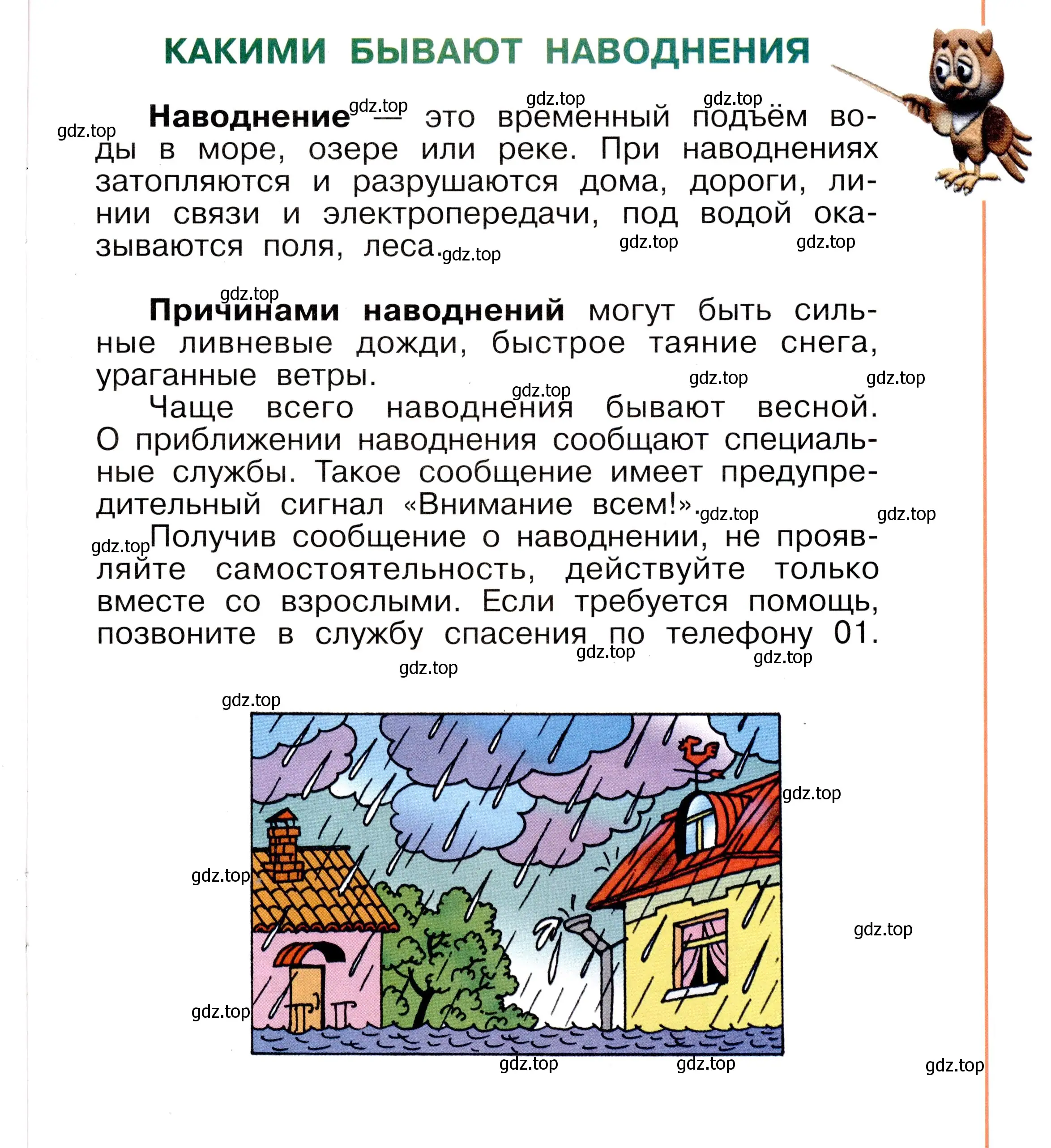 Условие номер 39 (страница 39) гдз по окружающему миру 2 класс Анастасова, Ижевский, рабочая тетрадь