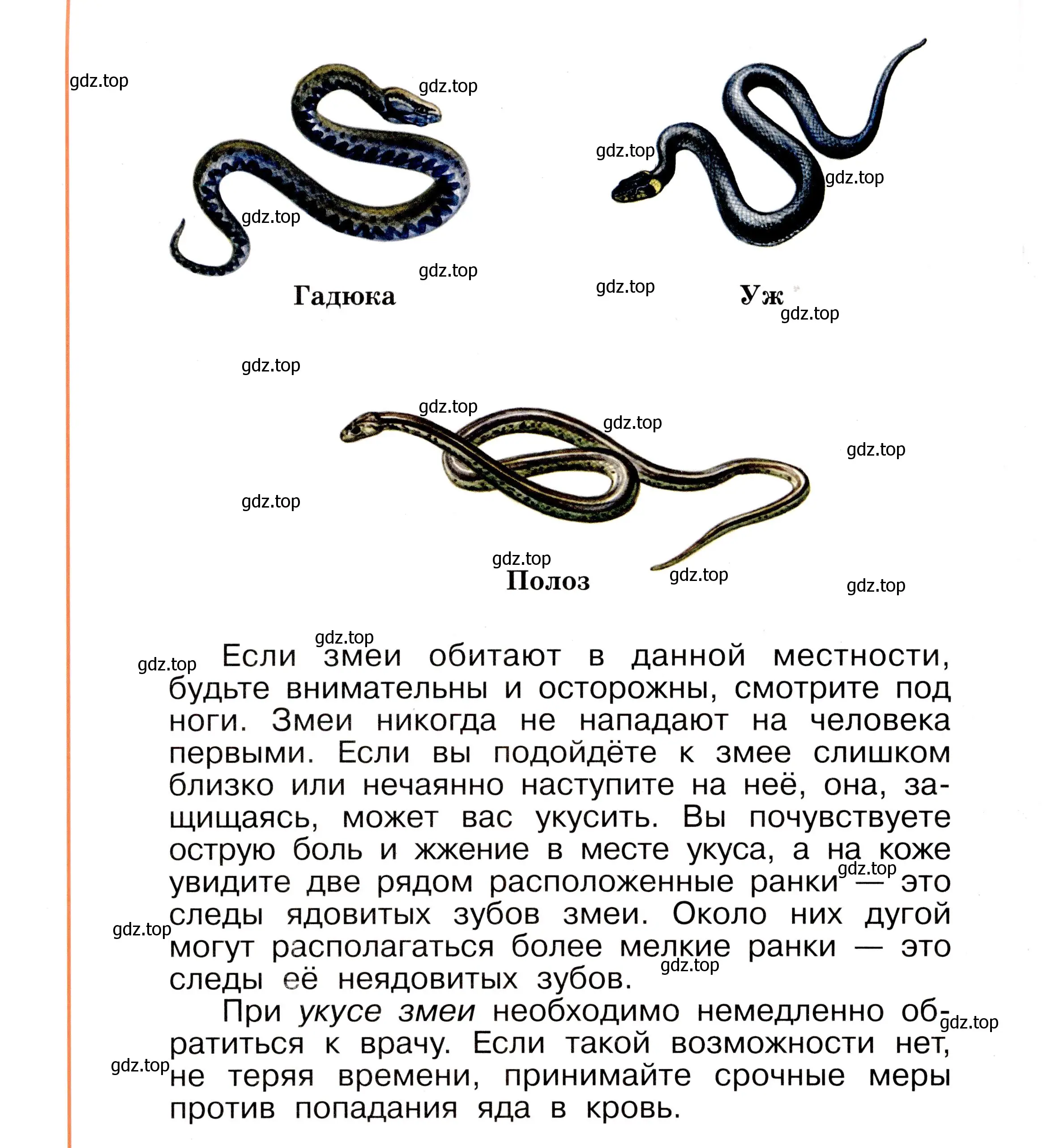 Условие номер 46 (страница 46) гдз по окружающему миру 2 класс Анастасова, Ижевский, рабочая тетрадь