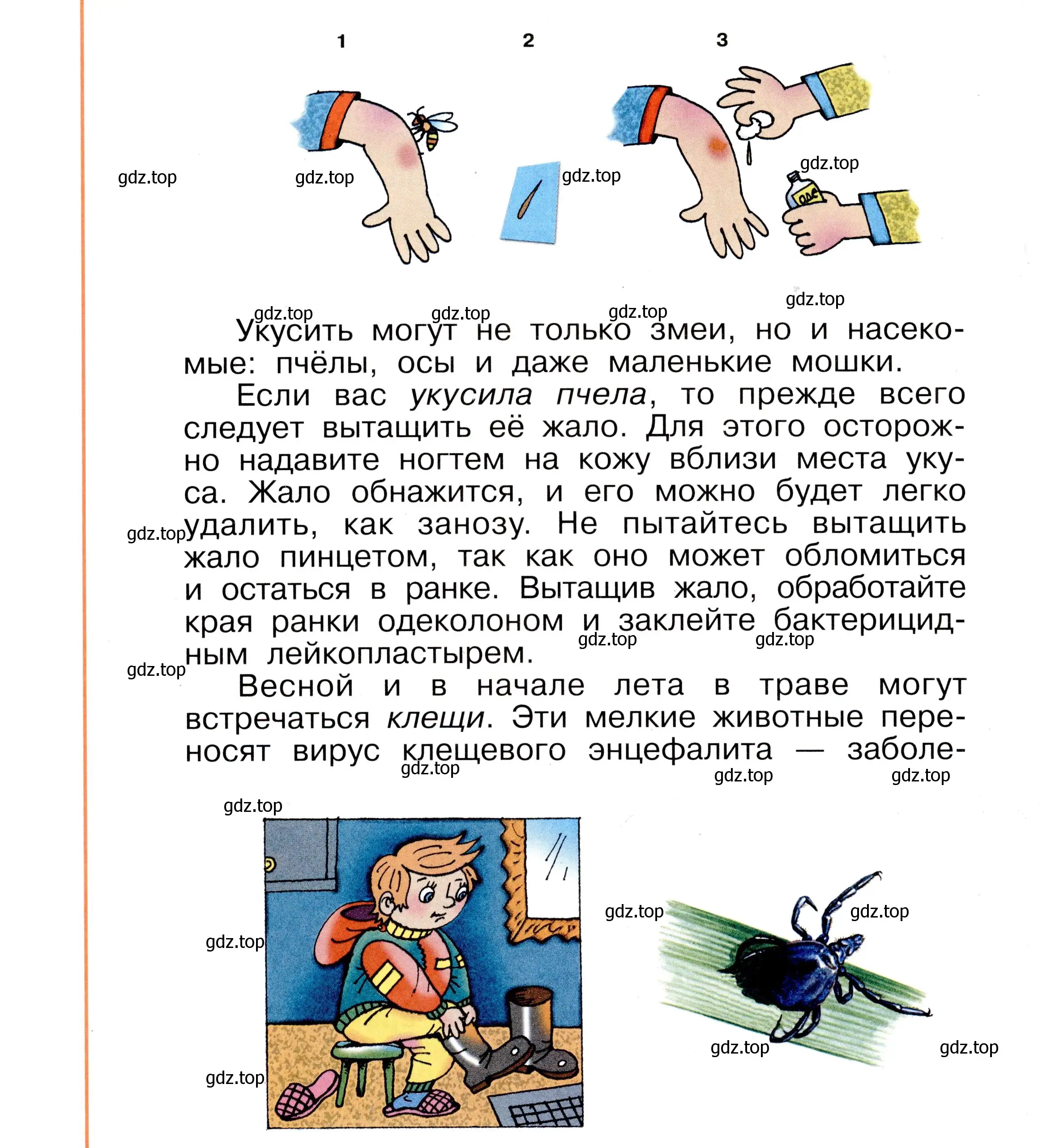 Условие номер 48 (страница 48) гдз по окружающему миру 2 класс Анастасова, Ижевский, рабочая тетрадь