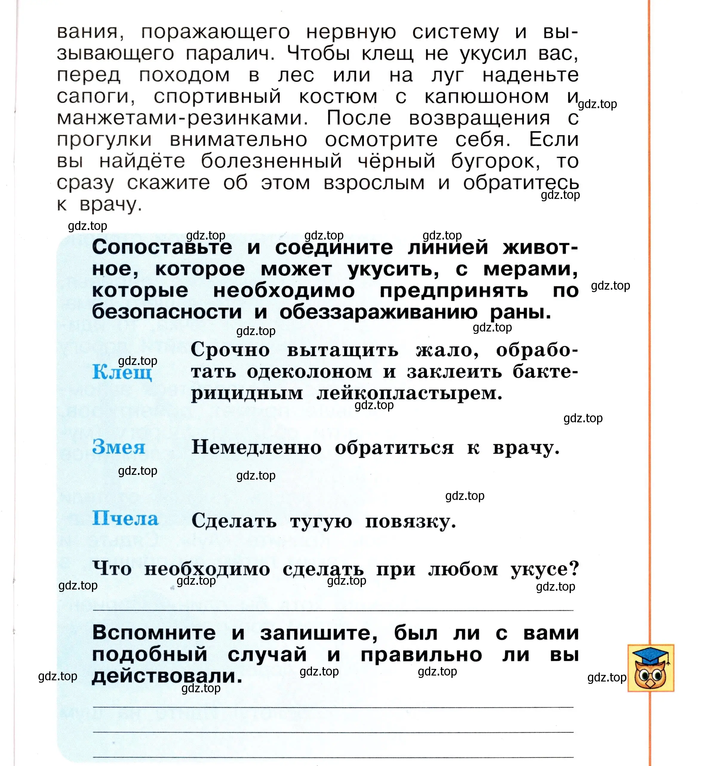 Условие номер 49 (страница 49) гдз по окружающему миру 2 класс Анастасова, Ижевский, рабочая тетрадь