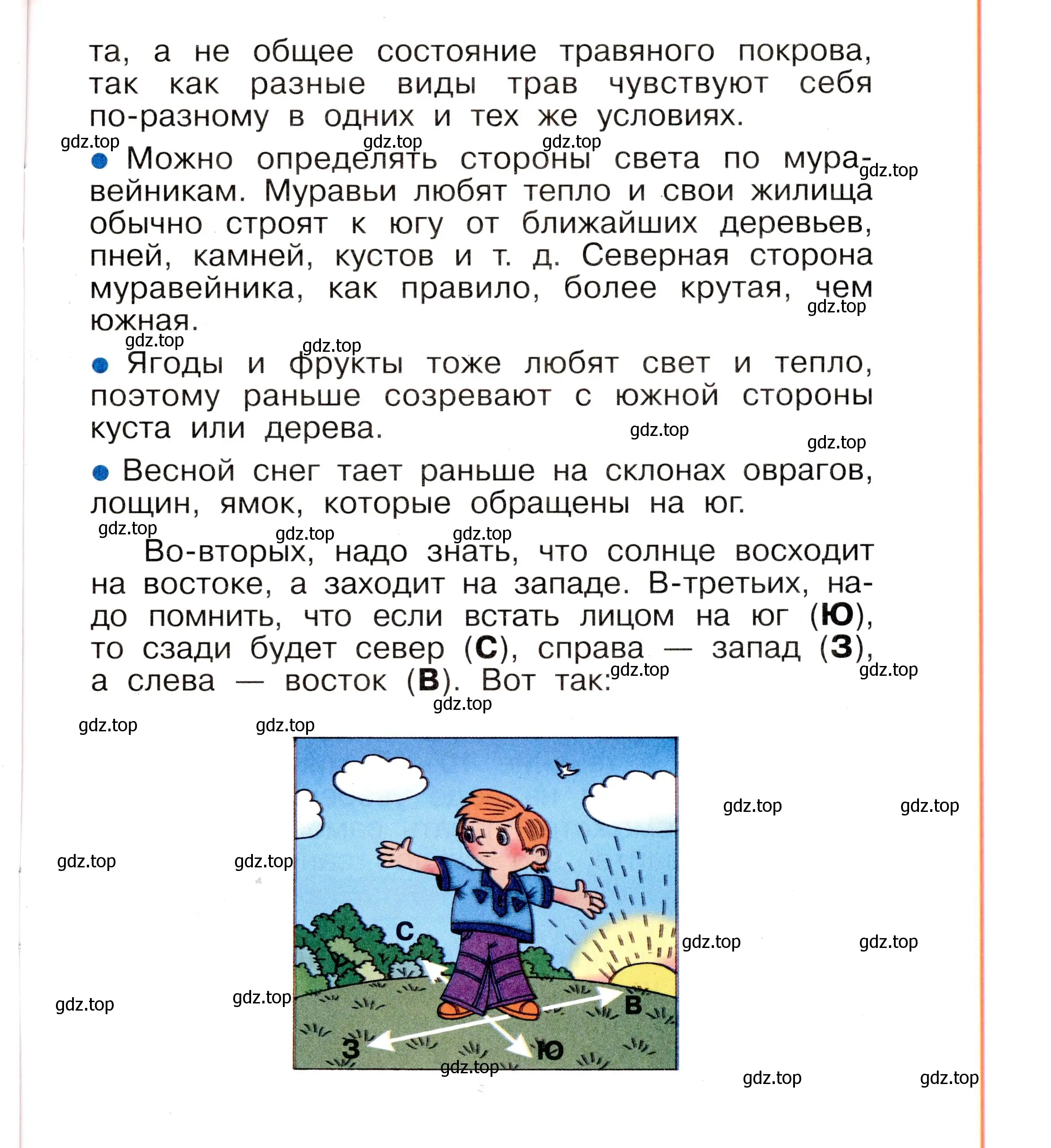 Условие номер 55 (страница 55) гдз по окружающему миру 2 класс Анастасова, Ижевский, рабочая тетрадь