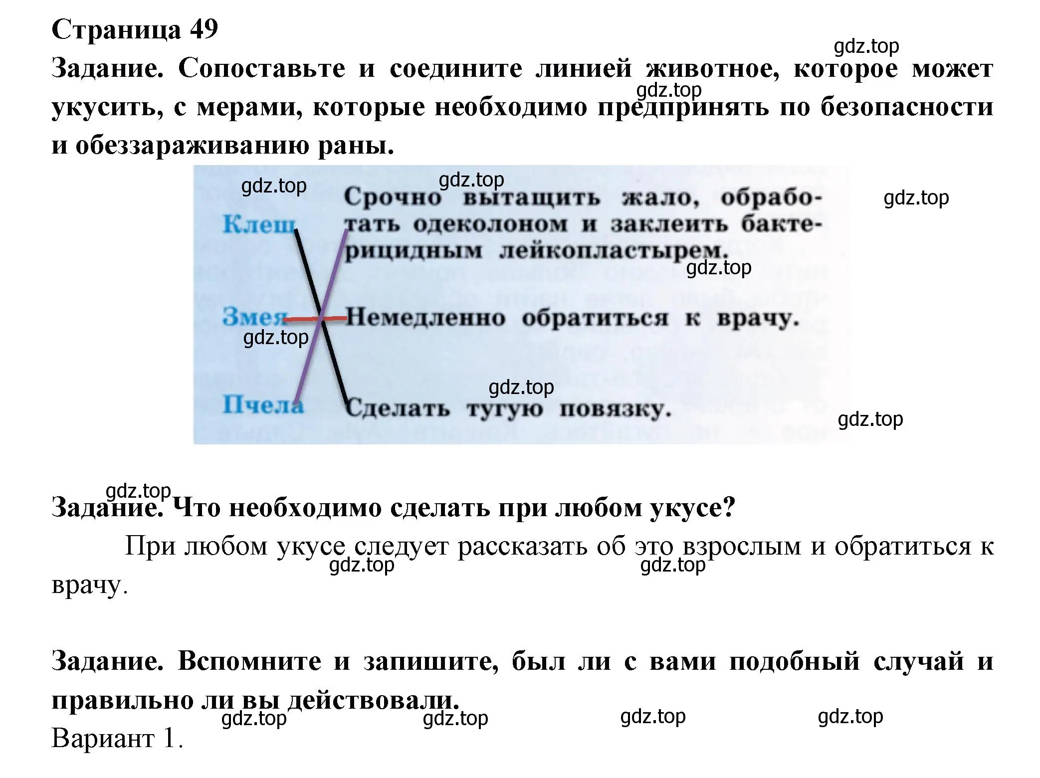 Решение номер 49 (страница 49) гдз по окружающему миру 2 класс Анастасова, Ижевский, рабочая тетрадь