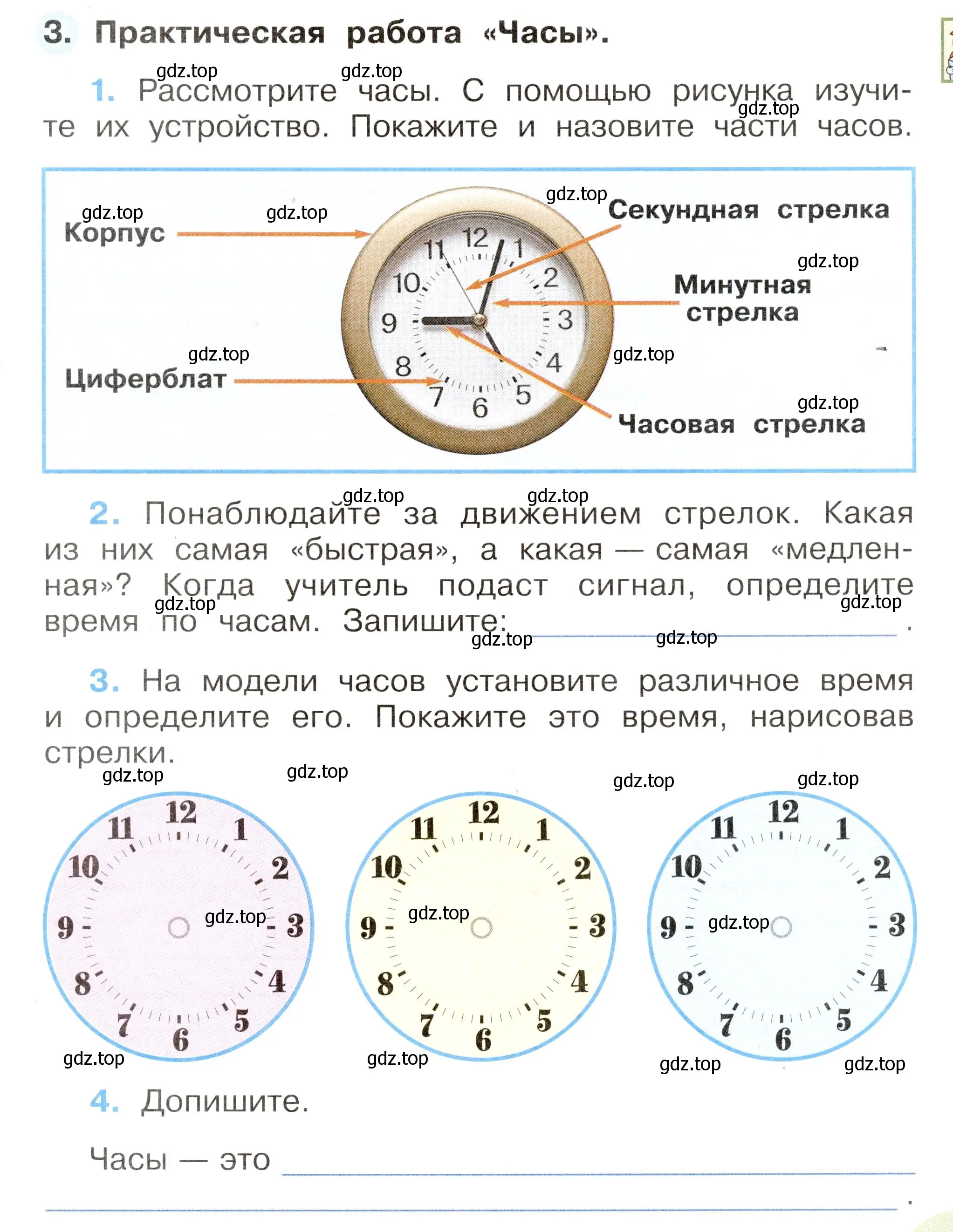 Условие номер 3 (страница 13) гдз по окружающему миру 2 класс Плешаков, Новицкая, рабочая тетрадь 1 часть