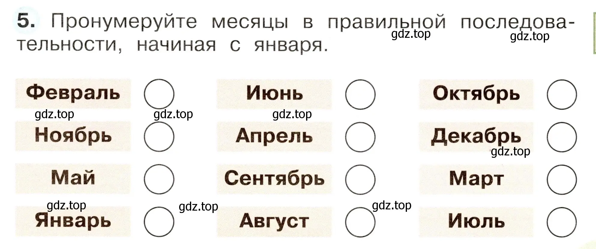 Условие номер 5 (страница 19) гдз по окружающему миру 2 класс Плешаков, Новицкая, рабочая тетрадь 1 часть