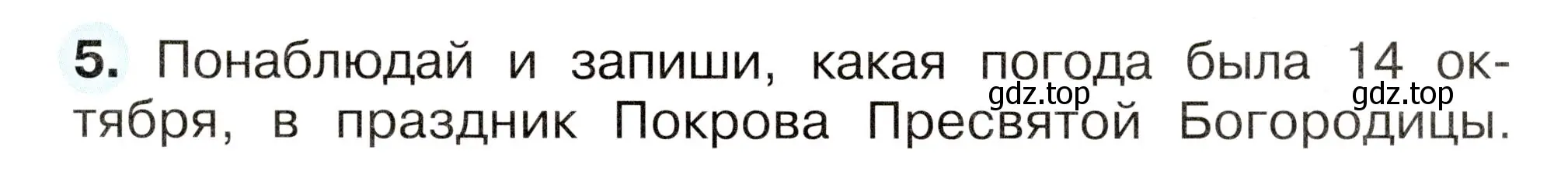 Условие номер 5 (страница 37) гдз по окружающему миру 2 класс Плешаков, Новицкая, рабочая тетрадь 1 часть