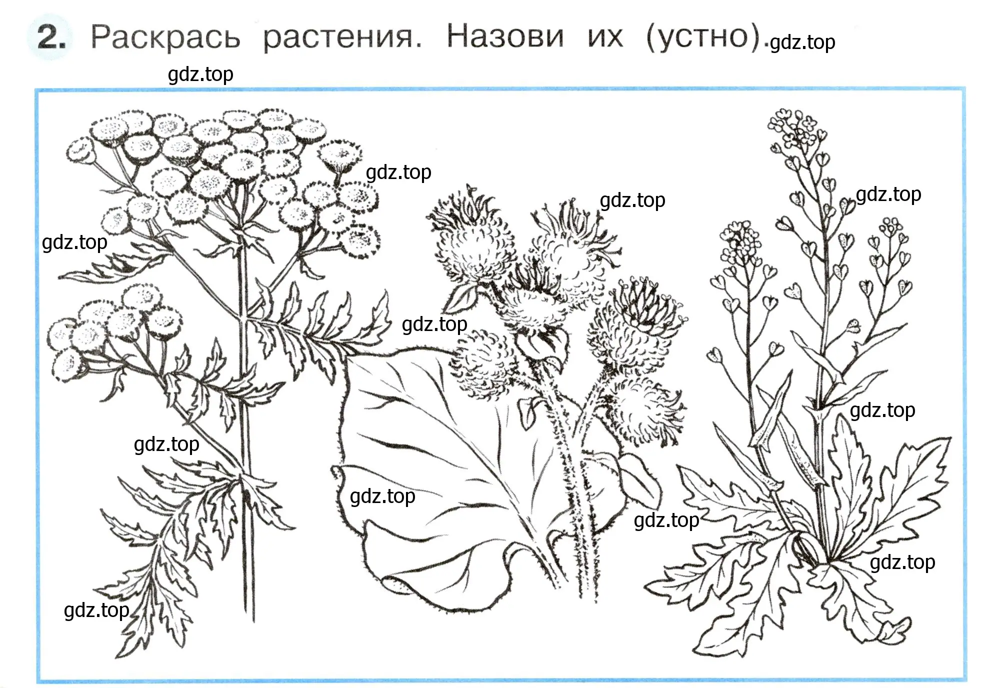 Условие номер 2 (страница 44) гдз по окружающему миру 2 класс Плешаков, Новицкая, рабочая тетрадь 1 часть