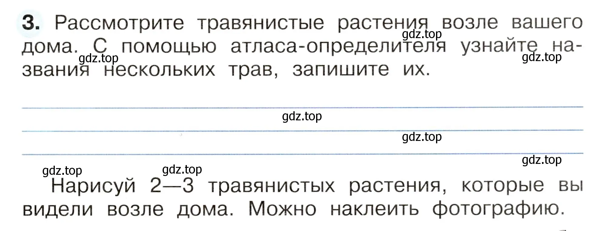 Условие номер 3 (страница 45) гдз по окружающему миру 2 класс Плешаков, Новицкая, рабочая тетрадь 1 часть