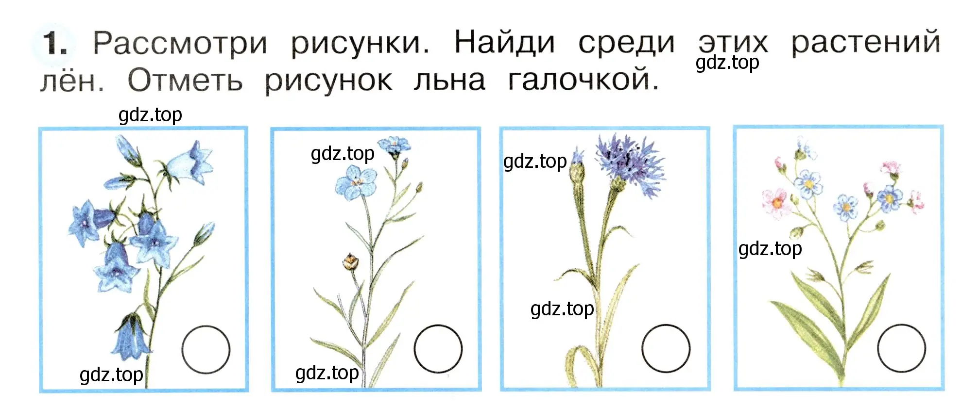 Условие номер 1 (страница 46) гдз по окружающему миру 2 класс Плешаков, Новицкая, рабочая тетрадь 1 часть