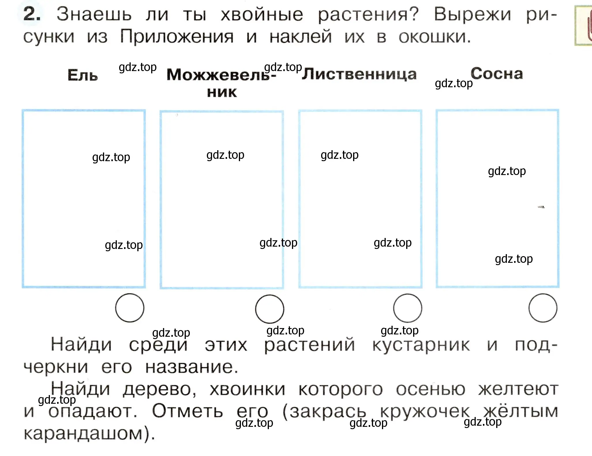 Условие номер 2 (страница 49) гдз по окружающему миру 2 класс Плешаков, Новицкая, рабочая тетрадь 1 часть