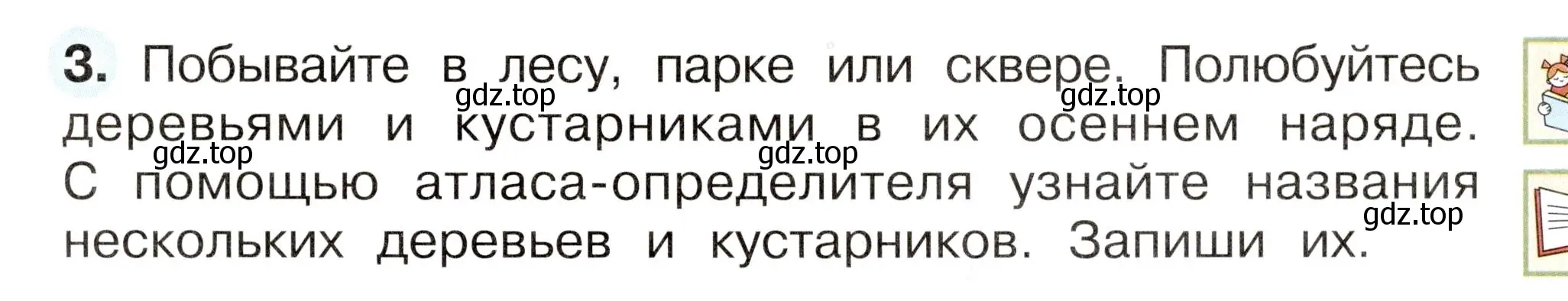 Условие номер 3 (страница 49) гдз по окружающему миру 2 класс Плешаков, Новицкая, рабочая тетрадь 1 часть