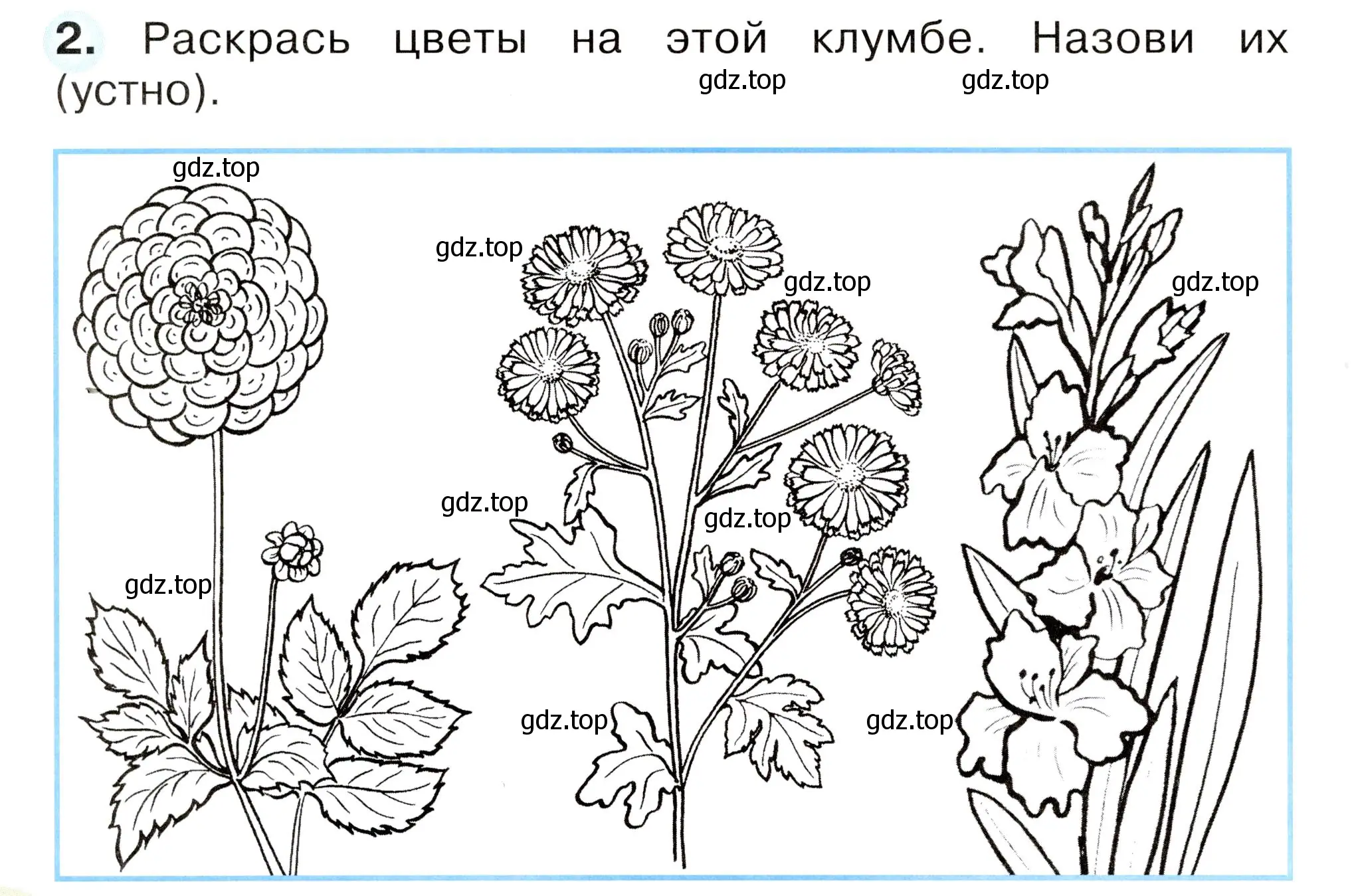 Условие номер 2 (страница 50) гдз по окружающему миру 2 класс Плешаков, Новицкая, рабочая тетрадь 1 часть