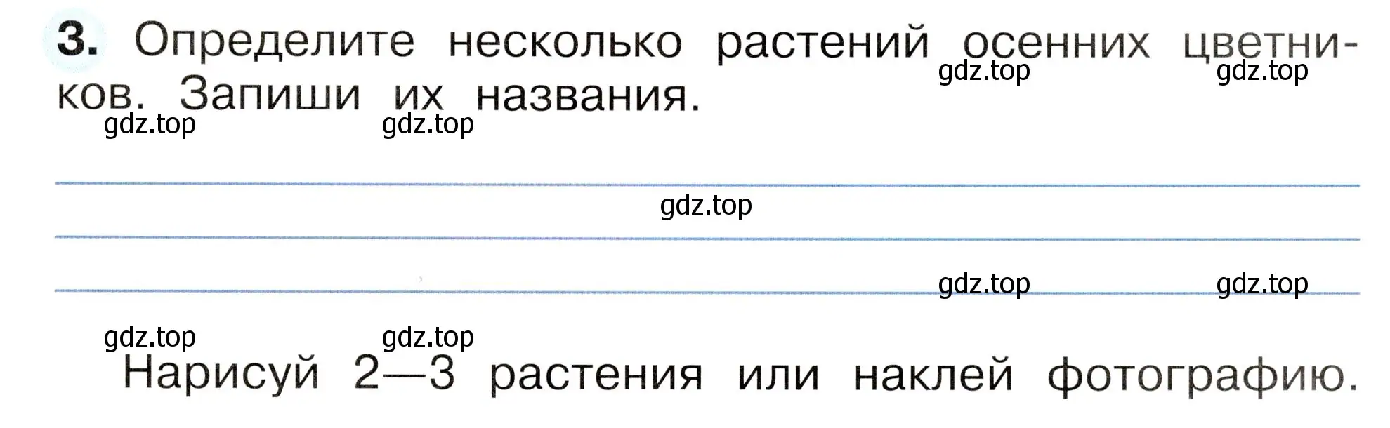 Условие номер 3 (страница 51) гдз по окружающему миру 2 класс Плешаков, Новицкая, рабочая тетрадь 1 часть