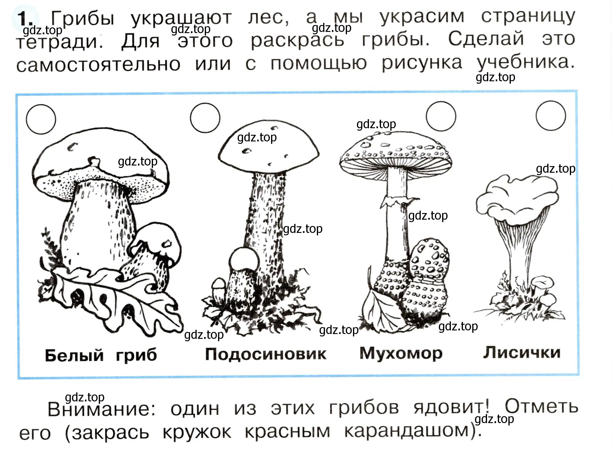 Условие номер 1 (страница 52) гдз по окружающему миру 2 класс Плешаков, Новицкая, рабочая тетрадь 1 часть