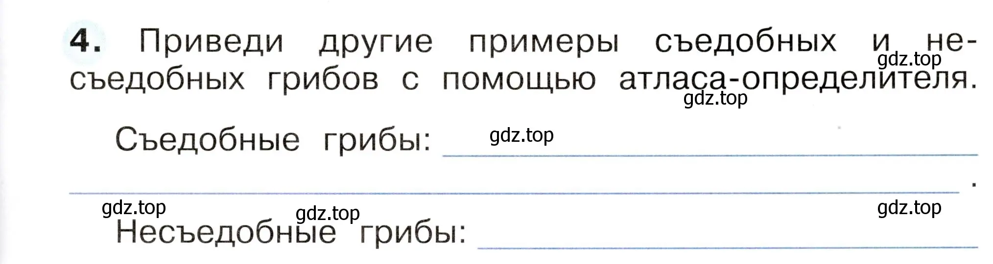 Условие номер 4 (страница 53) гдз по окружающему миру 2 класс Плешаков, Новицкая, рабочая тетрадь 1 часть