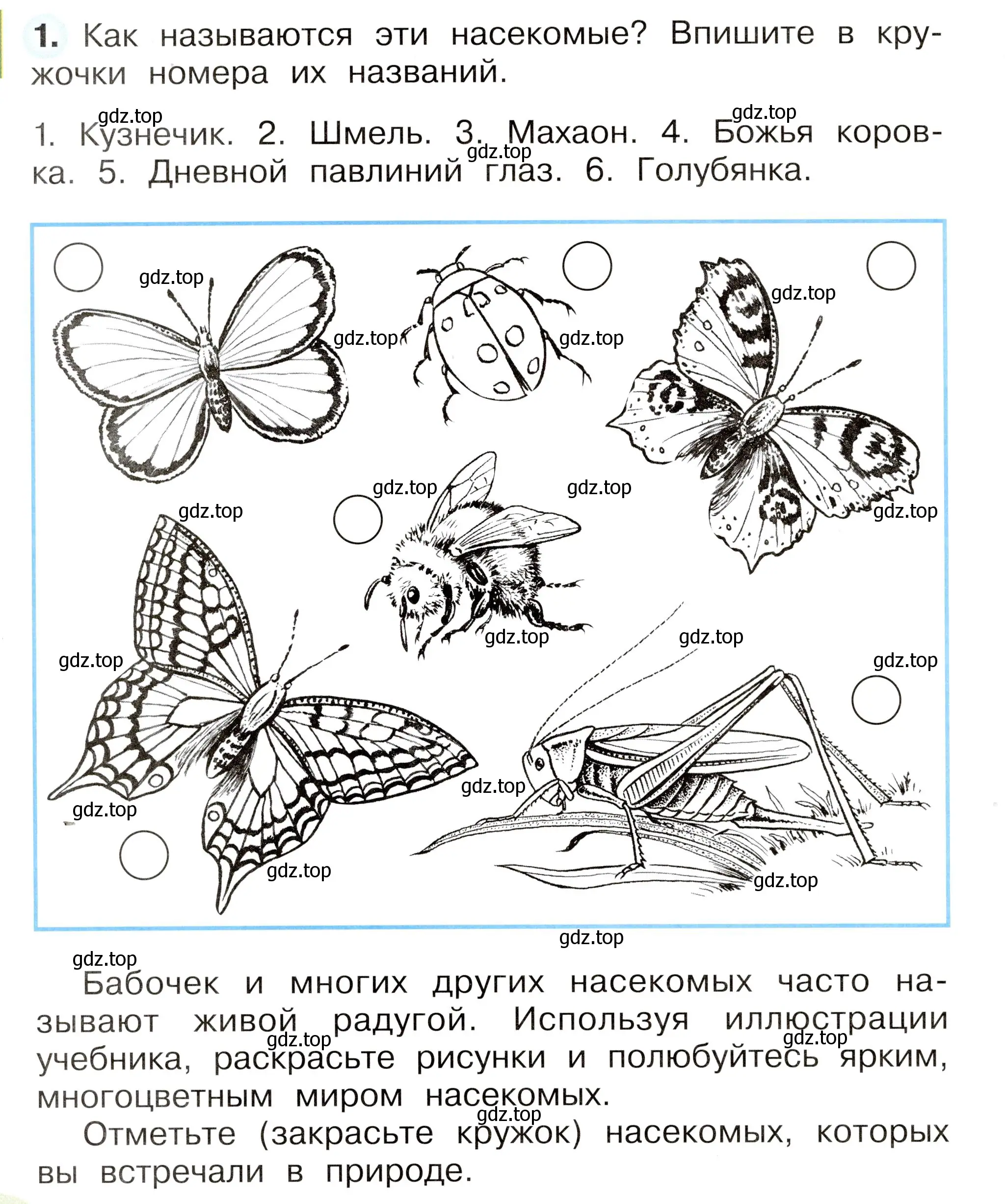 Условие номер 1 (страница 54) гдз по окружающему миру 2 класс Плешаков, Новицкая, рабочая тетрадь 1 часть