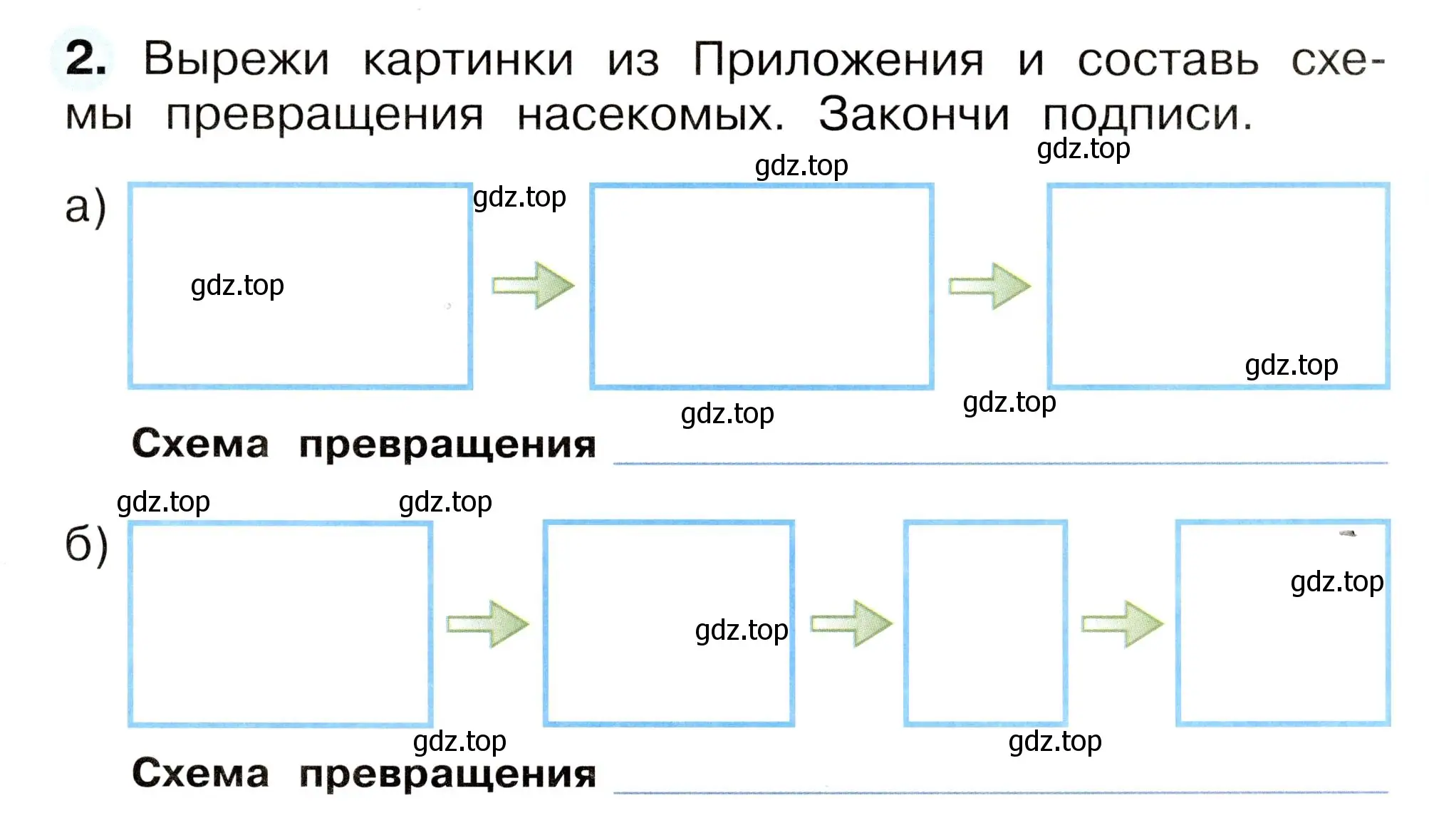 Условие номер 2 (страница 55) гдз по окружающему миру 2 класс Плешаков, Новицкая, рабочая тетрадь 1 часть