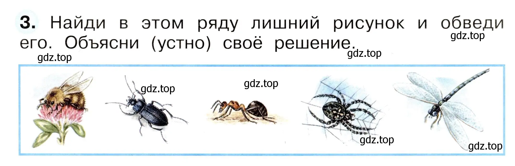 Условие номер 3 (страница 55) гдз по окружающему миру 2 класс Плешаков, Новицкая, рабочая тетрадь 1 часть