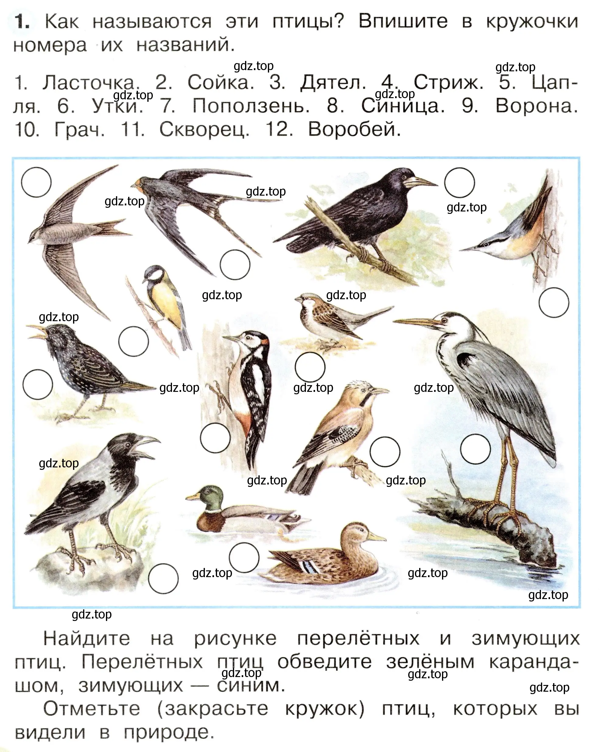 Условие номер 1 (страница 56) гдз по окружающему миру 2 класс Плешаков, Новицкая, рабочая тетрадь 1 часть