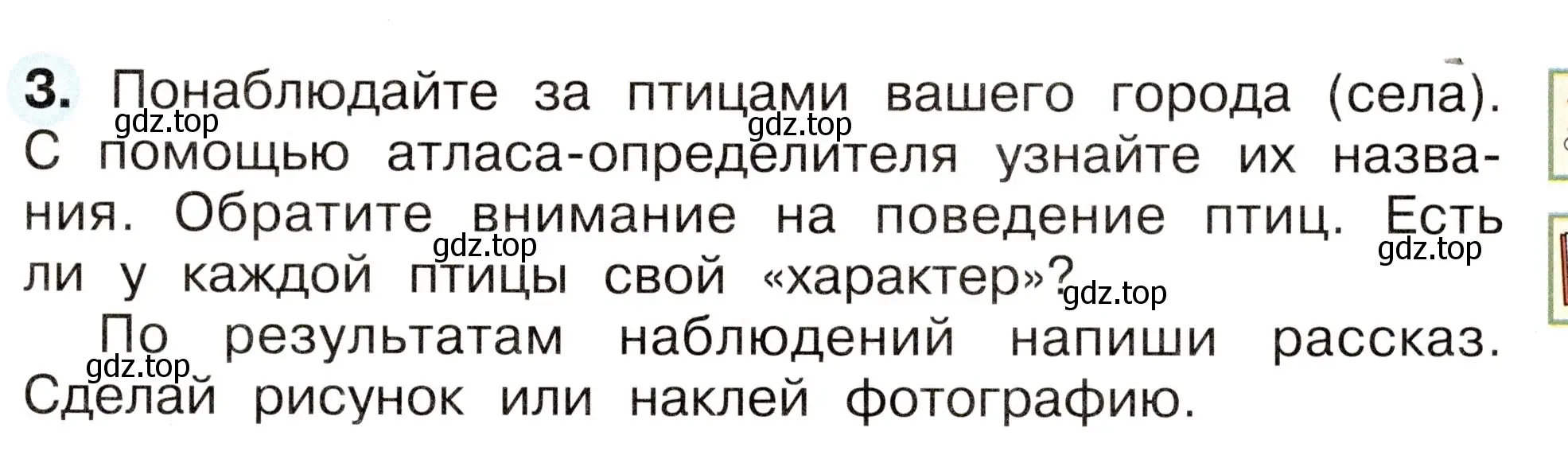 Условие номер 3 (страница 57) гдз по окружающему миру 2 класс Плешаков, Новицкая, рабочая тетрадь 1 часть