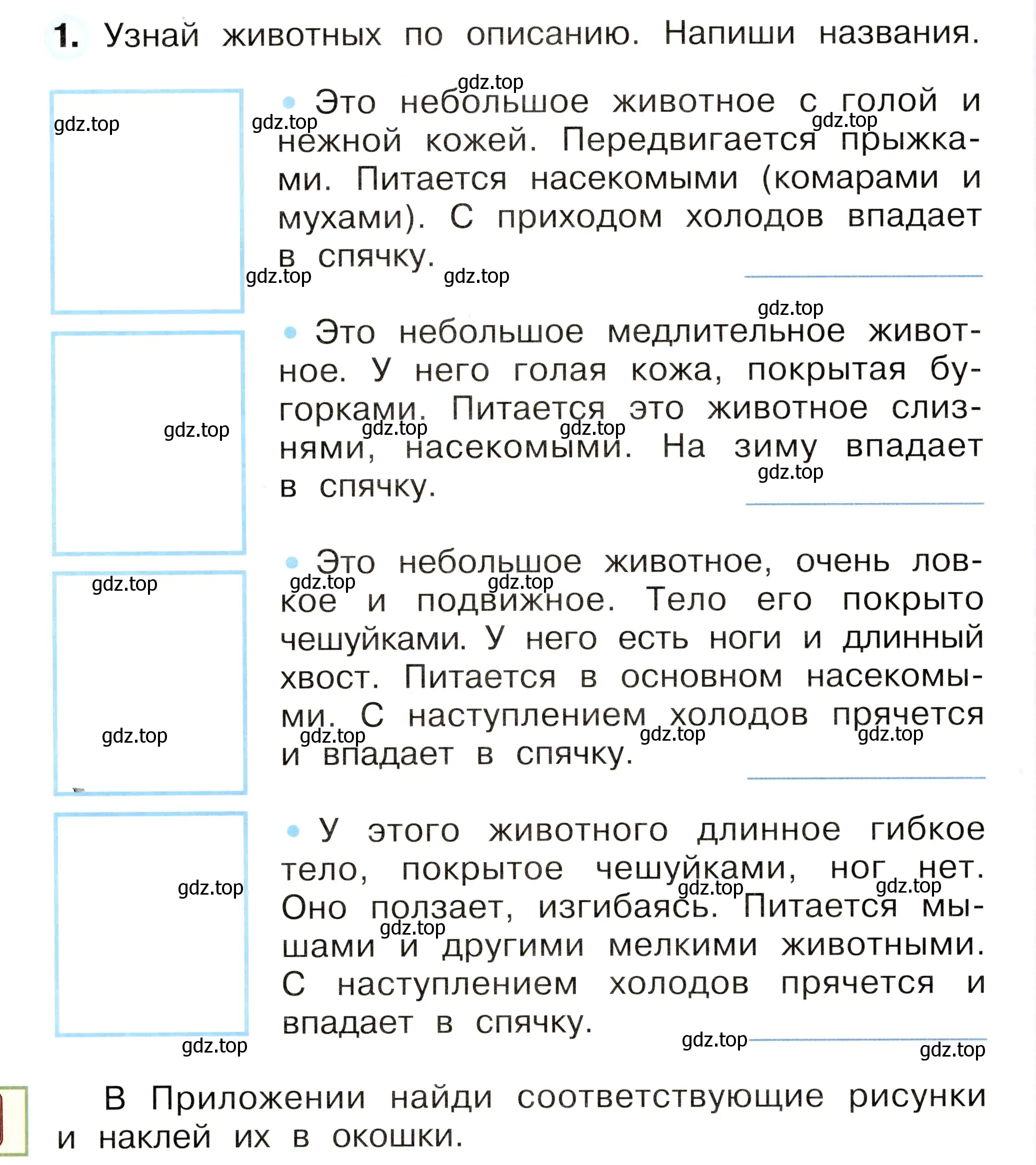 Условие номер 1 (страница 58) гдз по окружающему миру 2 класс Плешаков, Новицкая, рабочая тетрадь 1 часть